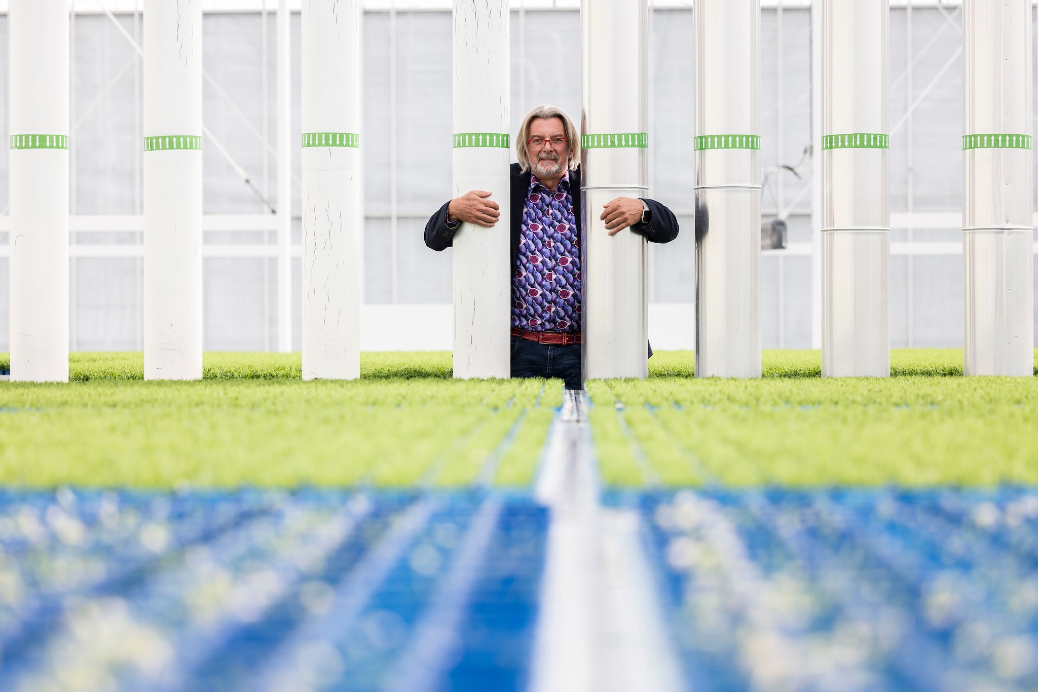 Rob Baan in de kas bij Koppert Cress in Monster. Rob Baan in de kas bij Koppert Cress in Monster. Foto: AD/Thierry Schut.