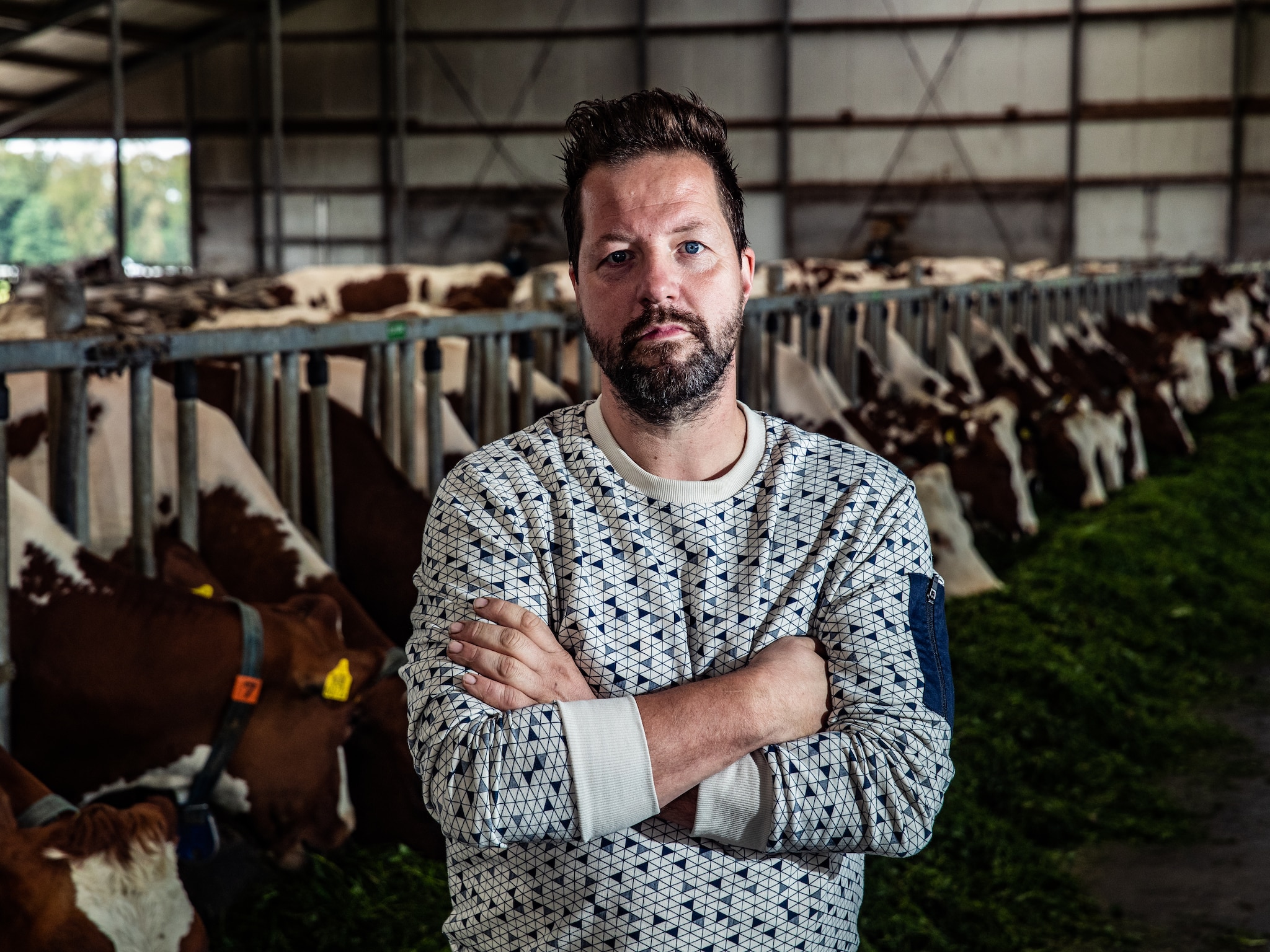 melkveehouders lopen door nieuwe mestregels vast niet voor elk bedrijf op te brengen