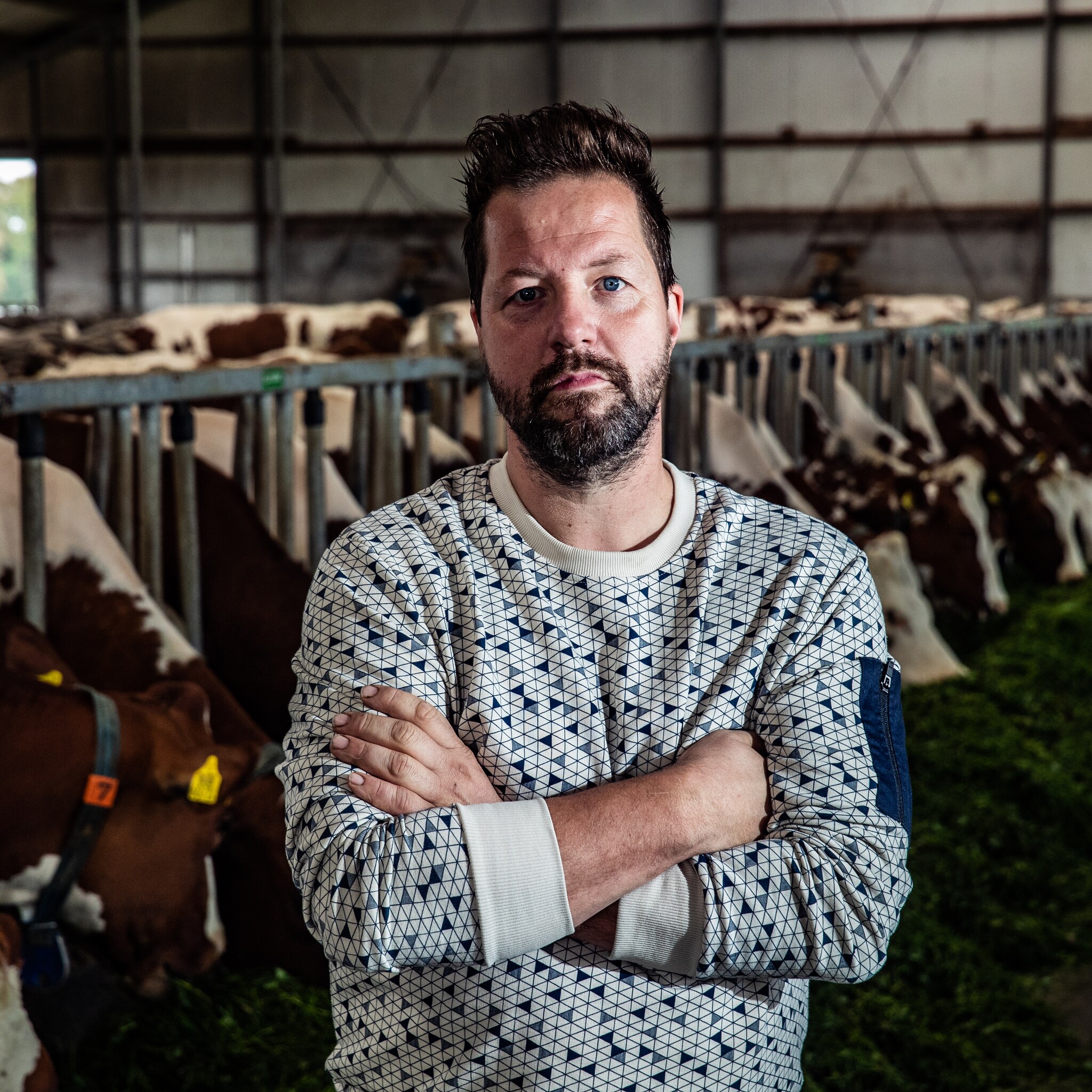 melkveehouders lopen door nieuwe mestregels vast niet voor elk bedrijf op te brengen