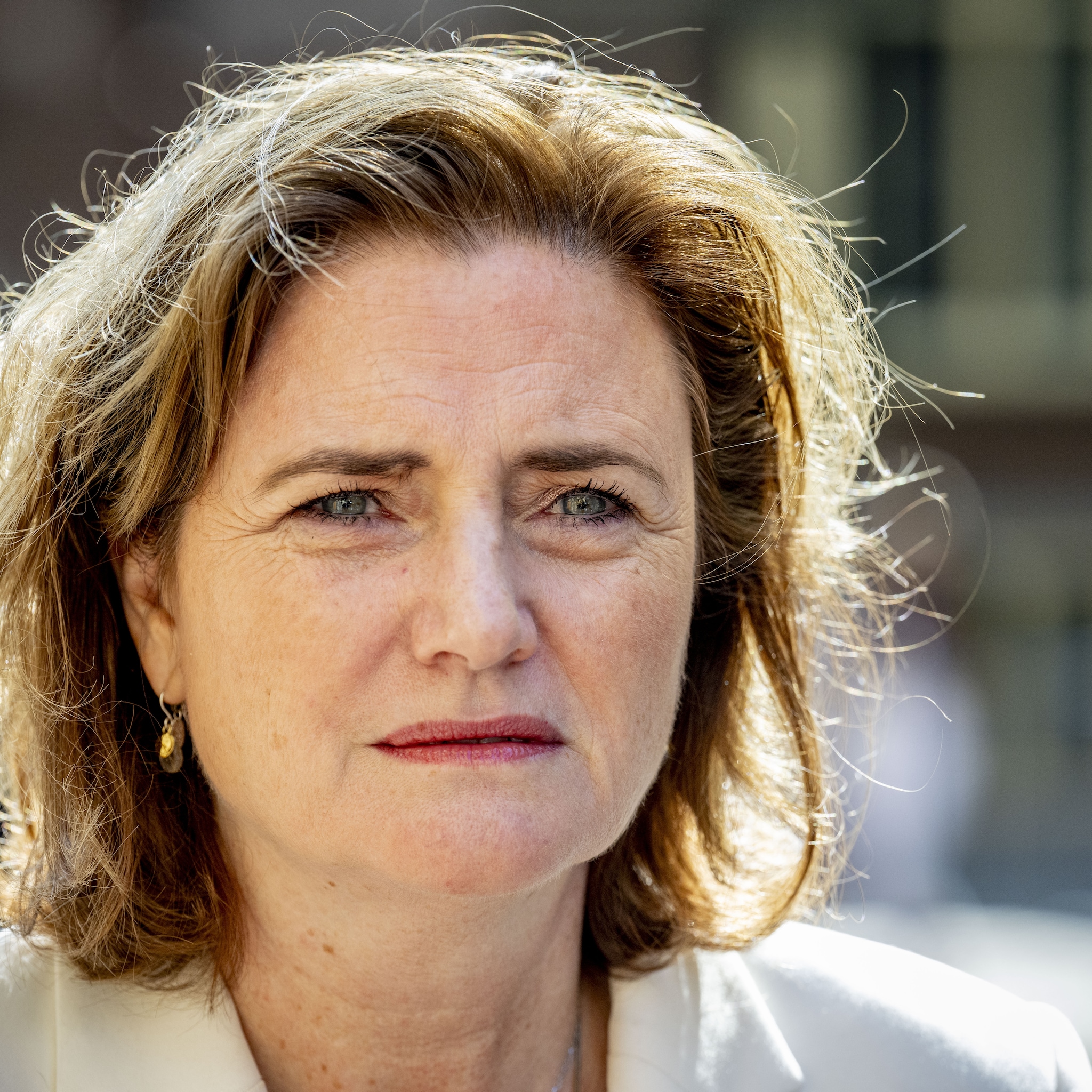 adviescollege nieuwe wet tegen schijnzelfstandigheid gaat niet werken