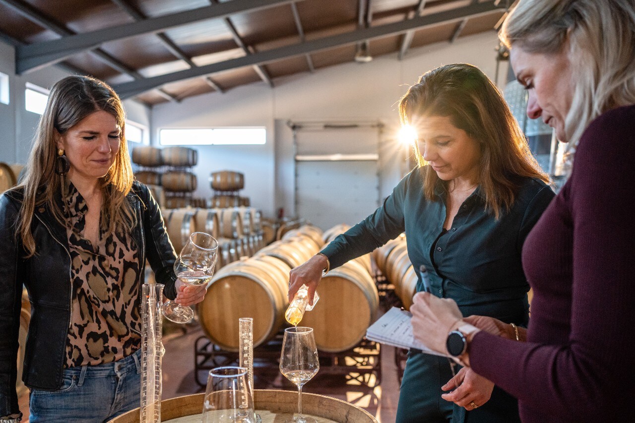 De wijnmakers aan het werk. Foto: ViaVIÑA.