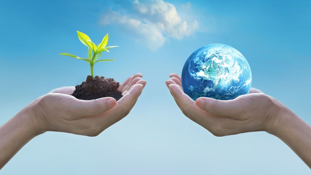 Biodiversiteit is cruciaal voor de diensten die de natuur voor ons verzorgt. Shutterstock
