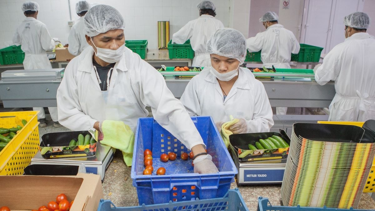 Hogeropgeleiden en werkgevers hebben het meeste profijt van arbeidsmigranten. Shutterstock
