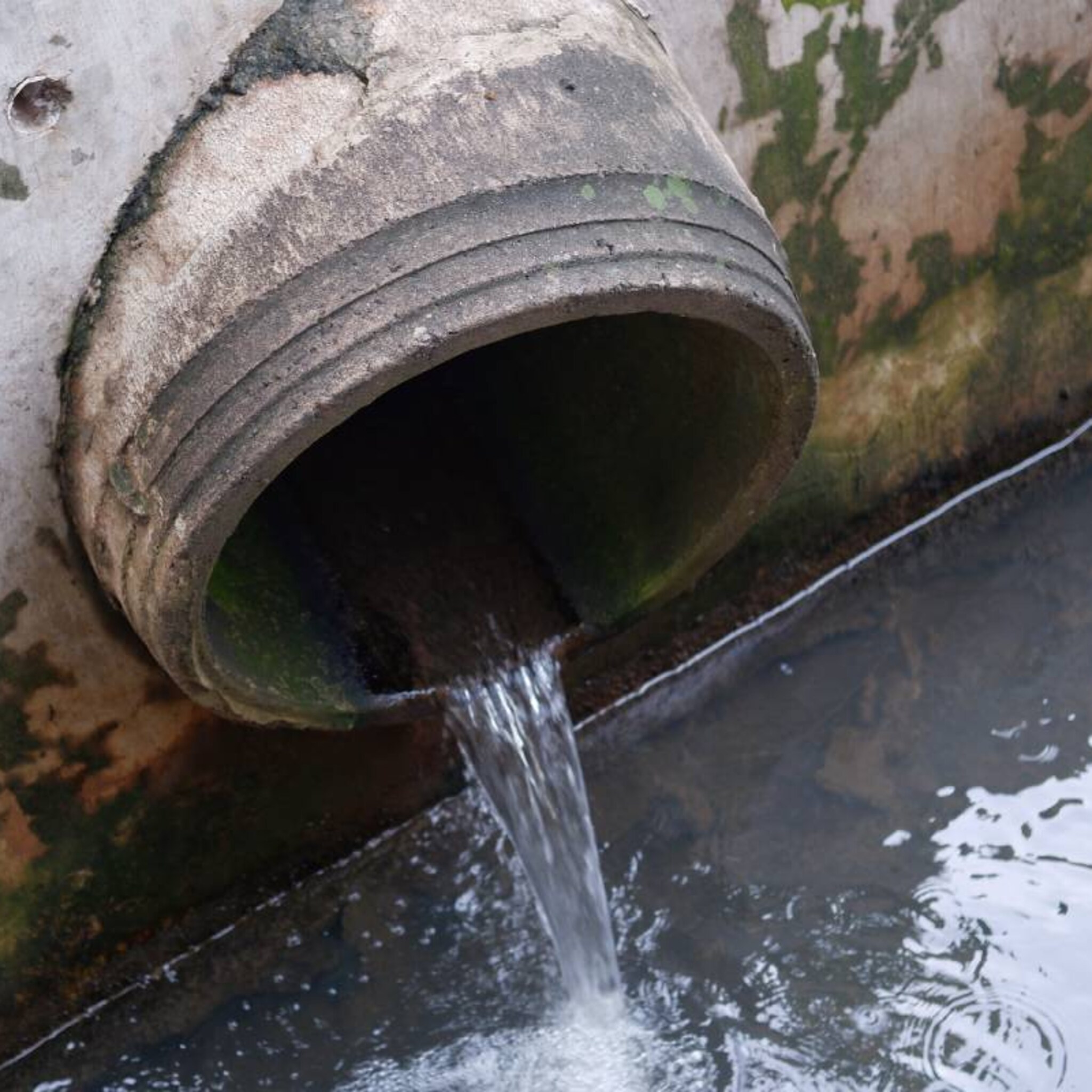 drukte bij loodgieters dakdekkers en rioolbedrijven door wateroverlast