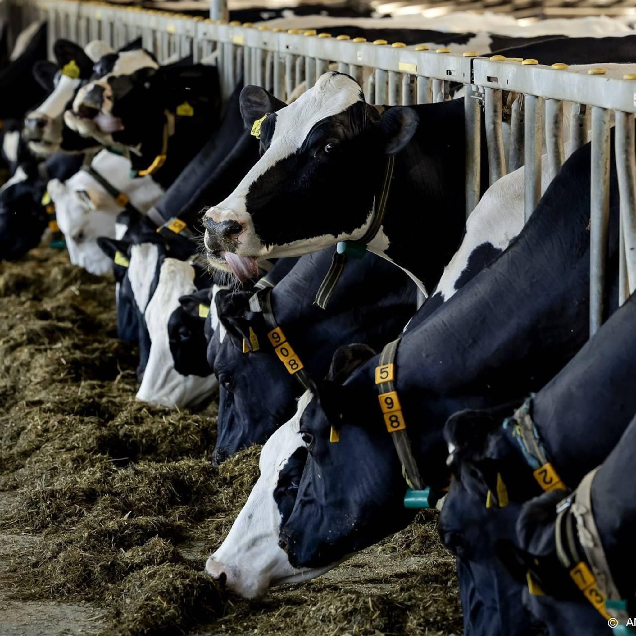 vertrouwenspersoon moet boeren helpen tegen invloed criminaliteit