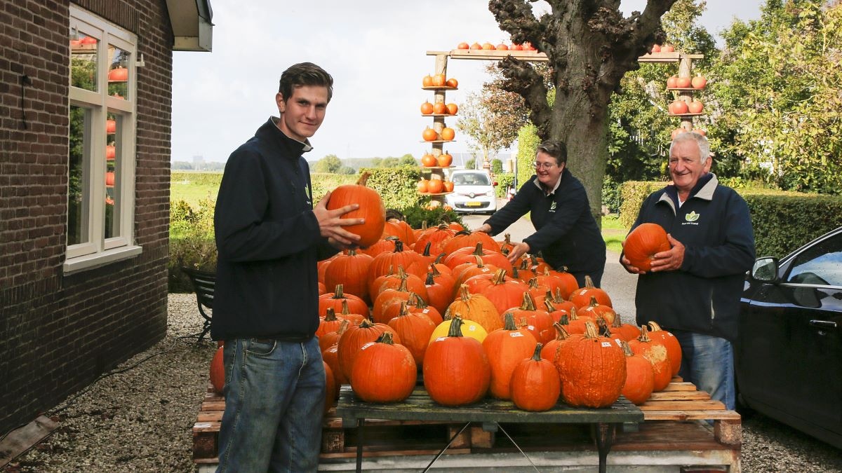 Puur van t Land is gespecialiseerd in pompoenen. Eli is de jongste telg van het familiebedrijf. Foto: Ruud Voest