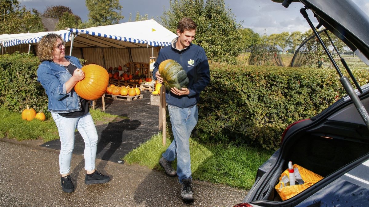 Puur van t Land is gespecialiseerd in pompoenen. De jonge Eli is de jongste telg van het familiebedrijf. Foto: Ruud Voest