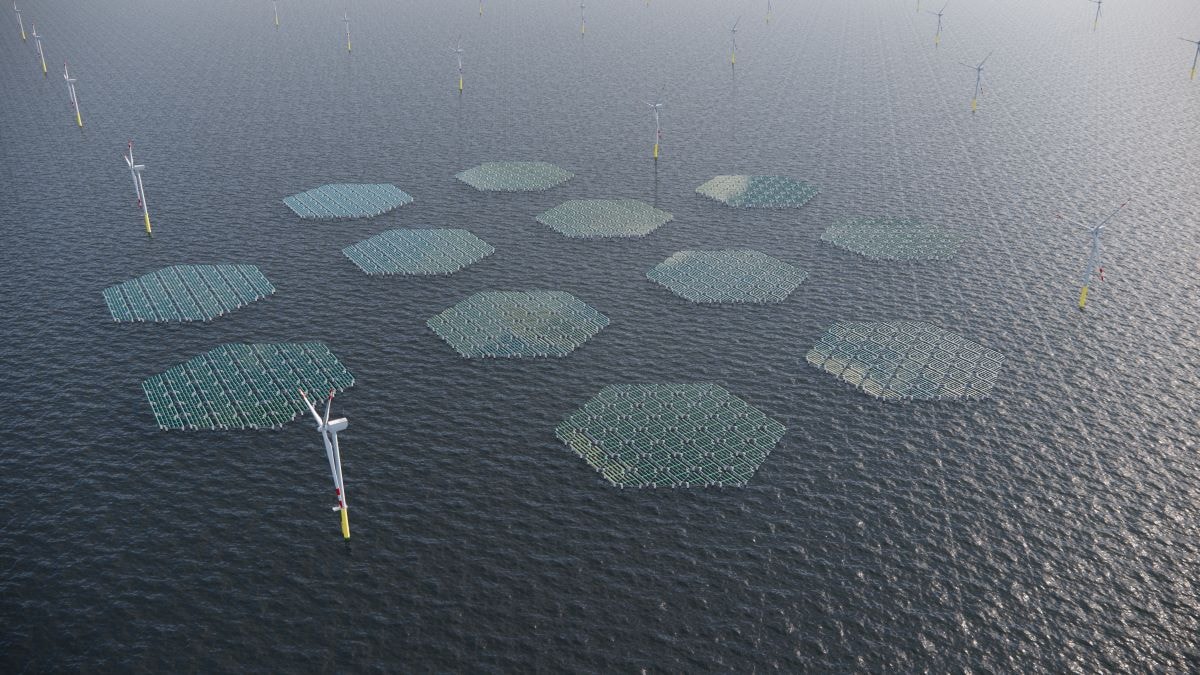Een artists impression van een zonnepark op zee, tussen de windmolens Foto: SolarDuck