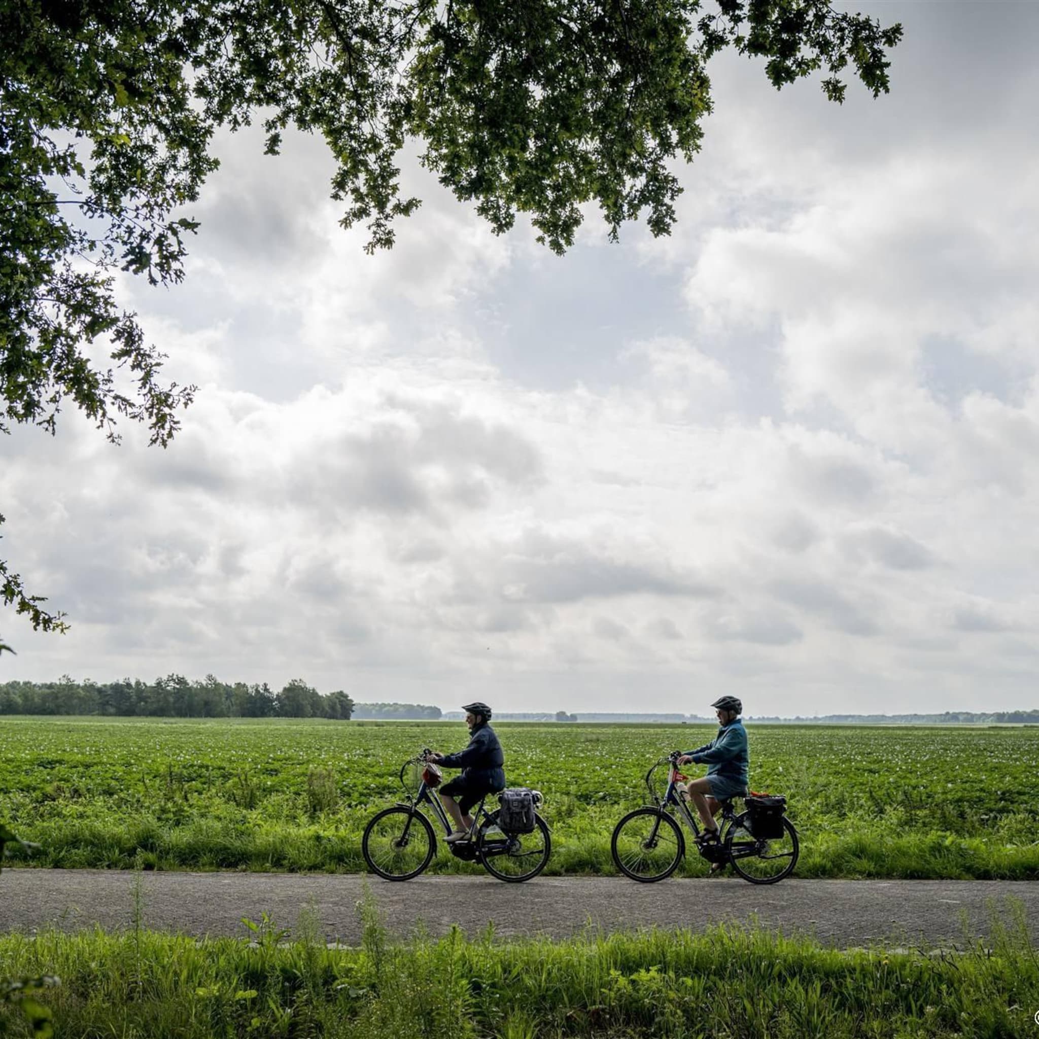 eu hof elektrische fiets is geen motorvoertuig