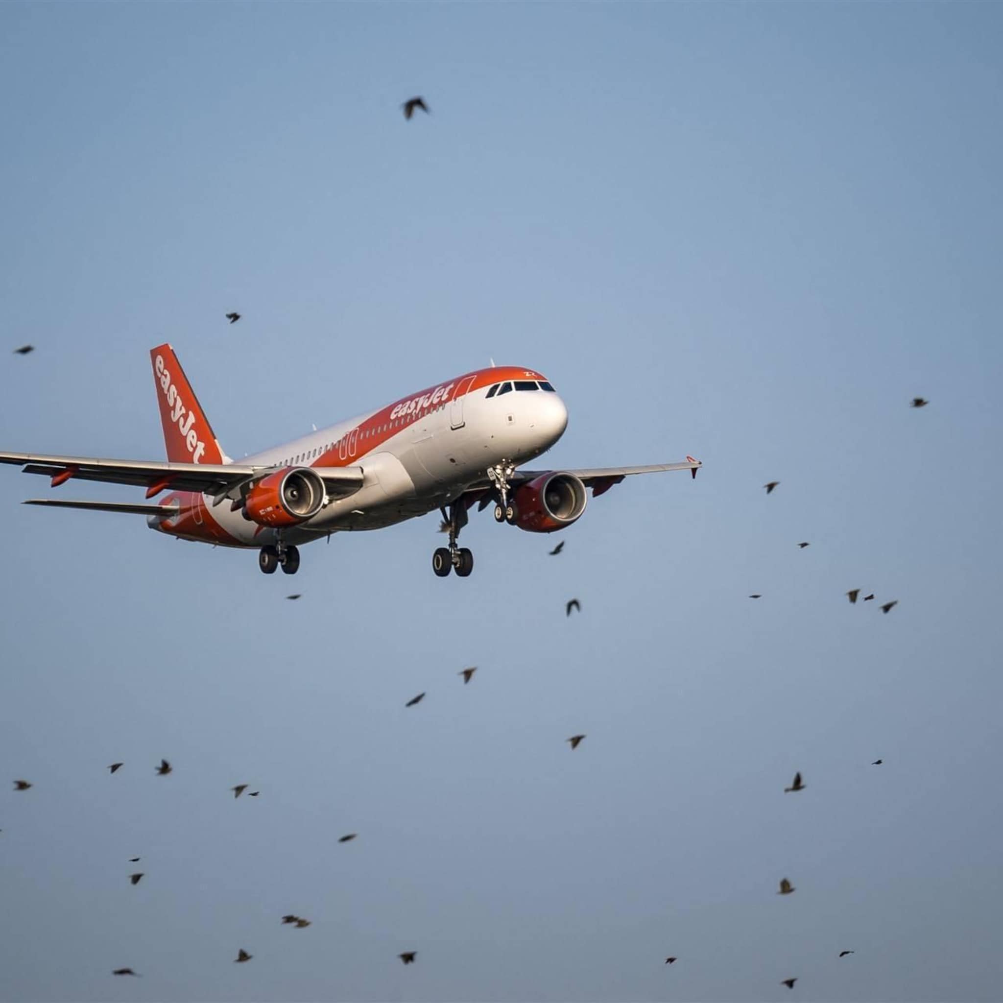easyjet ziet geen invloed internationale onrust op reisgedrag