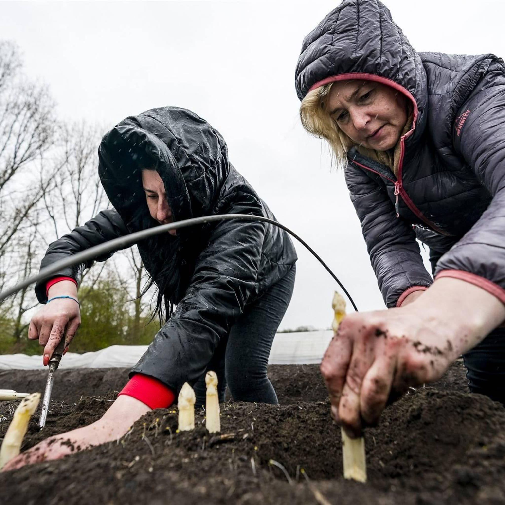 meer oekraiense vluchtelingen aan het werk helft heeft nu baan