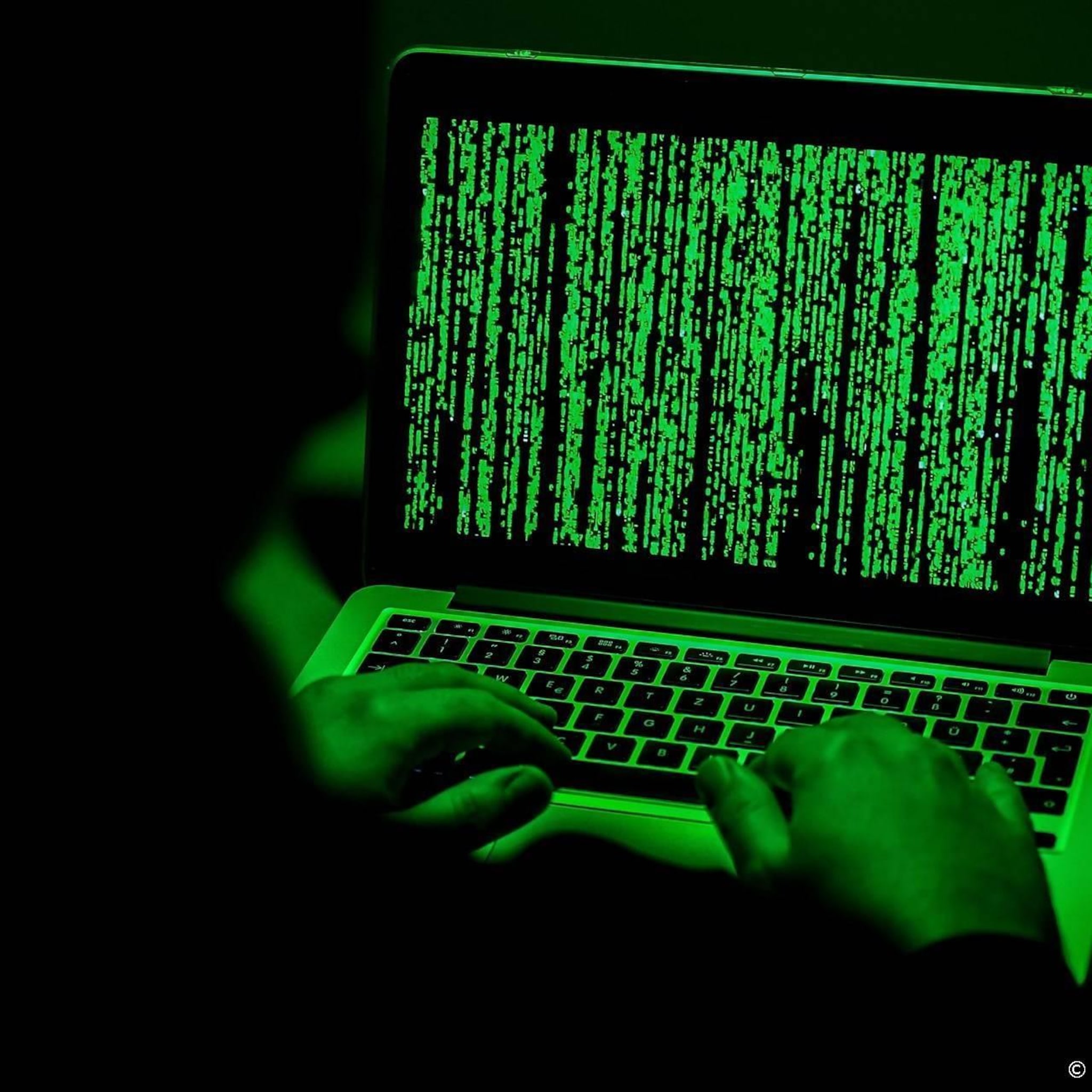 aardappelbedrijf hzpc denkt na hack gestolen geld terug te krijgen