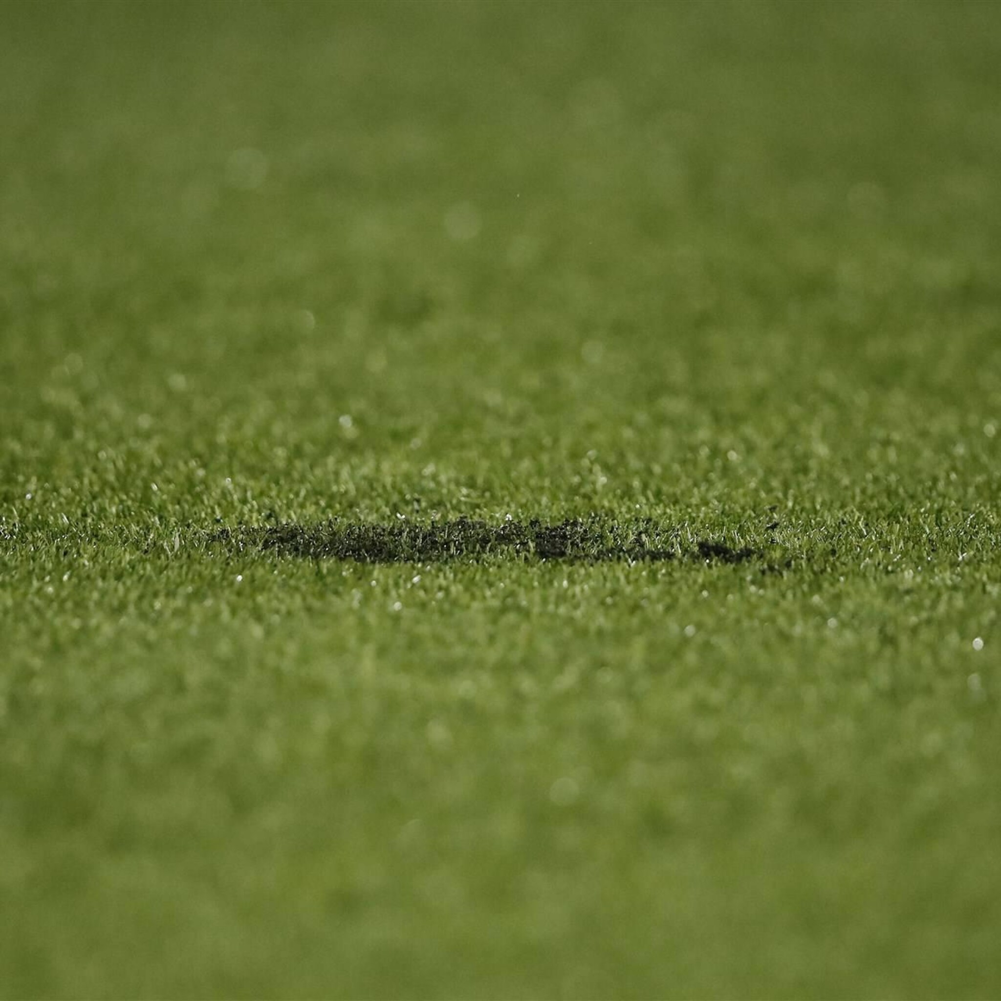 eu verbiedt scrubbolletjes en rubberkorrels voor kunstgras