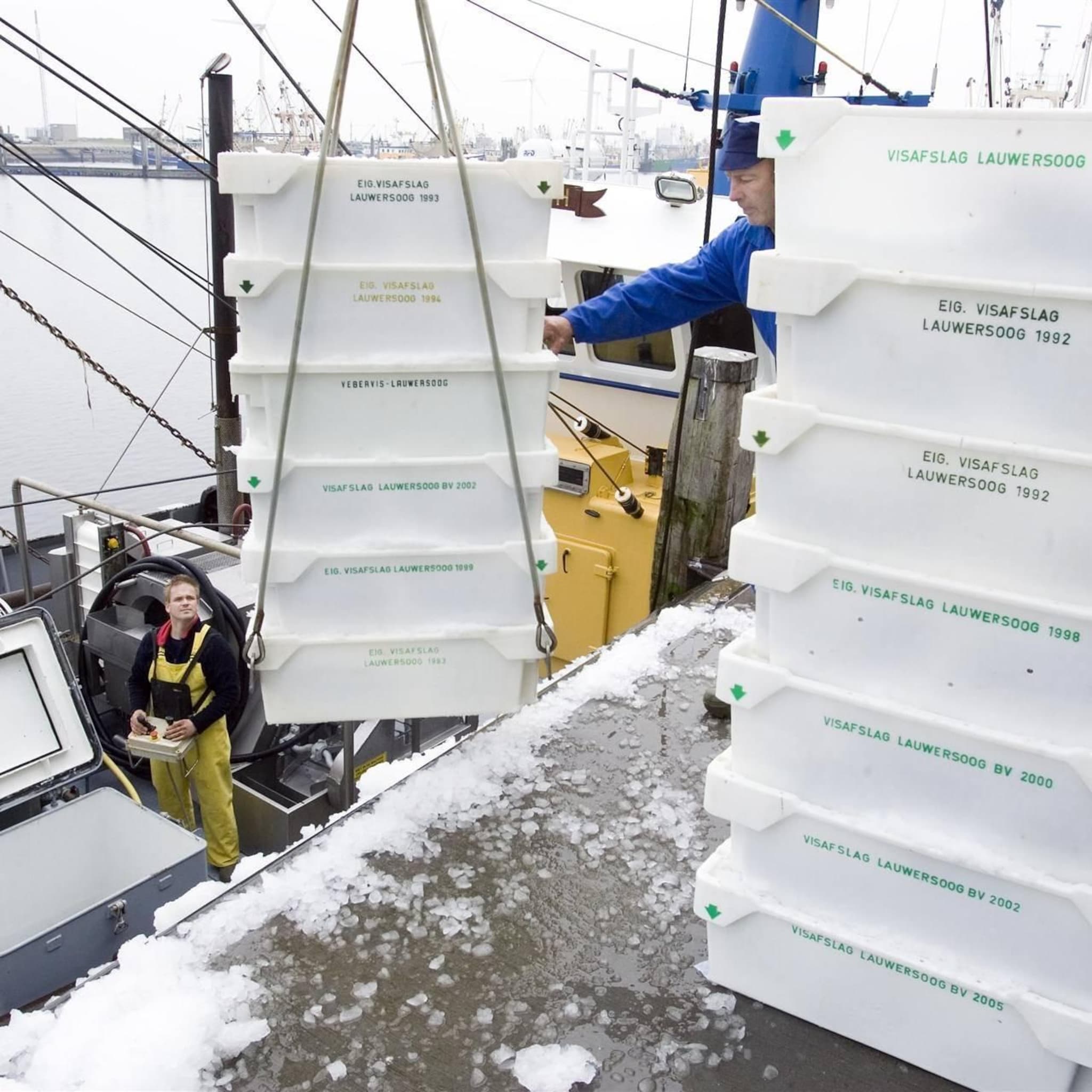nederlandse kottervisserij draait weer met verlies