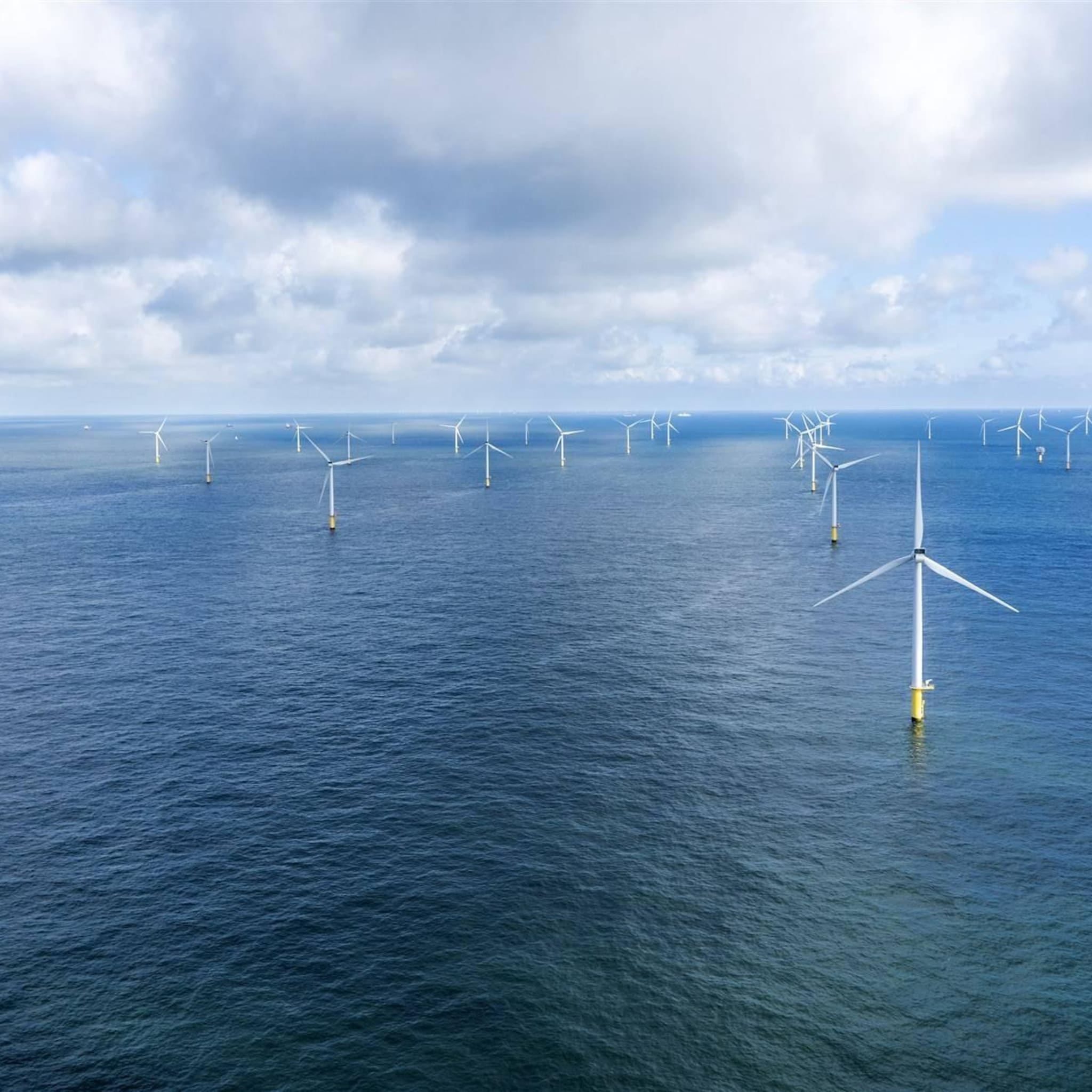 bijna helft elektriciteitsproductie uit hernieuwbare bronnen