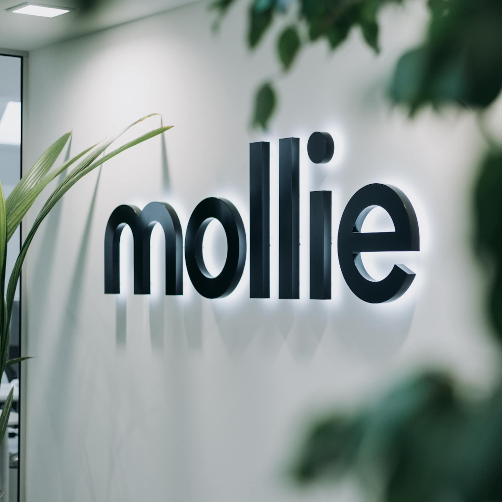 betaaldienstverlener mollie moet 10 procent van zijn personeel ontslaan