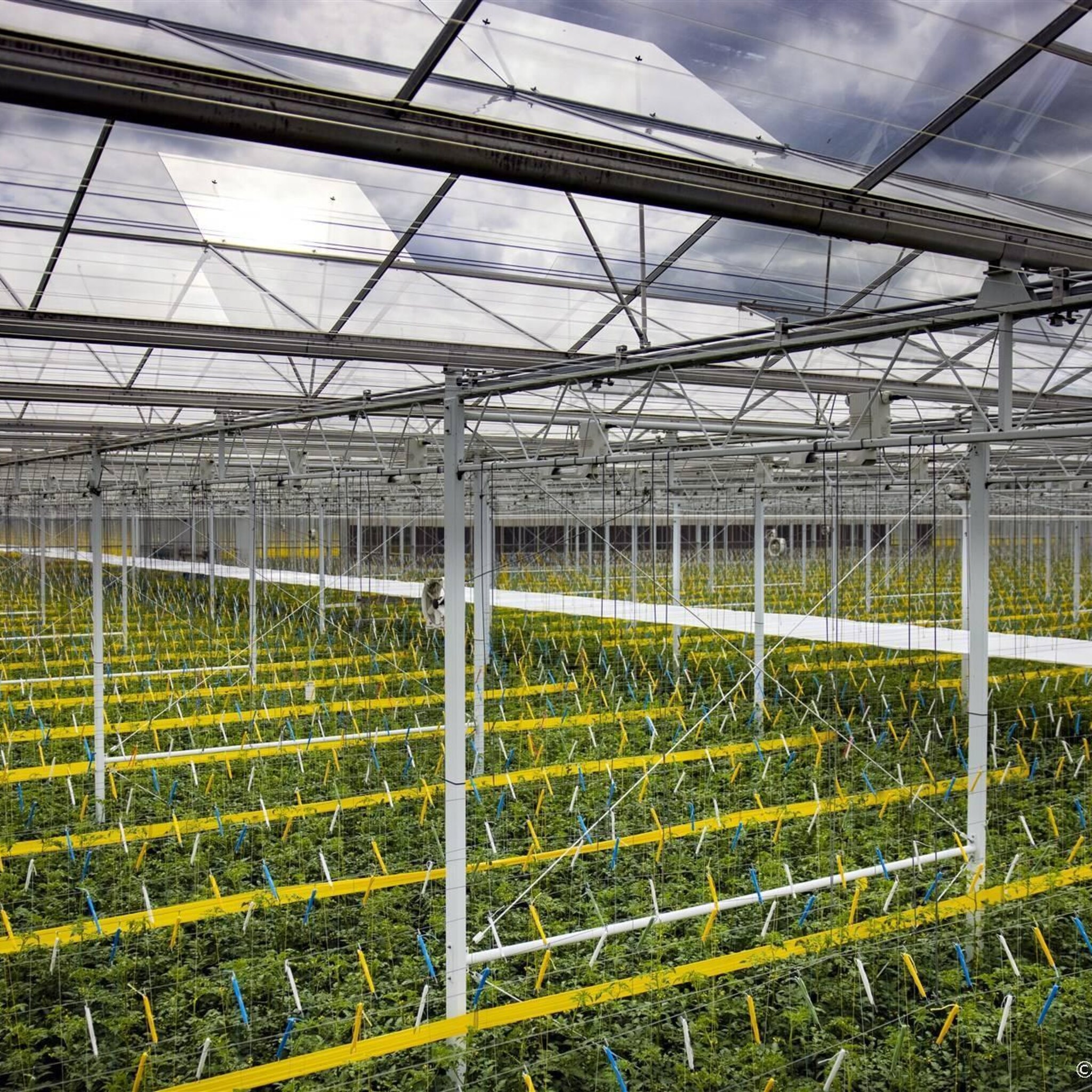marokkaanse handelsreis in nederland gaat door ondanks aardbeving