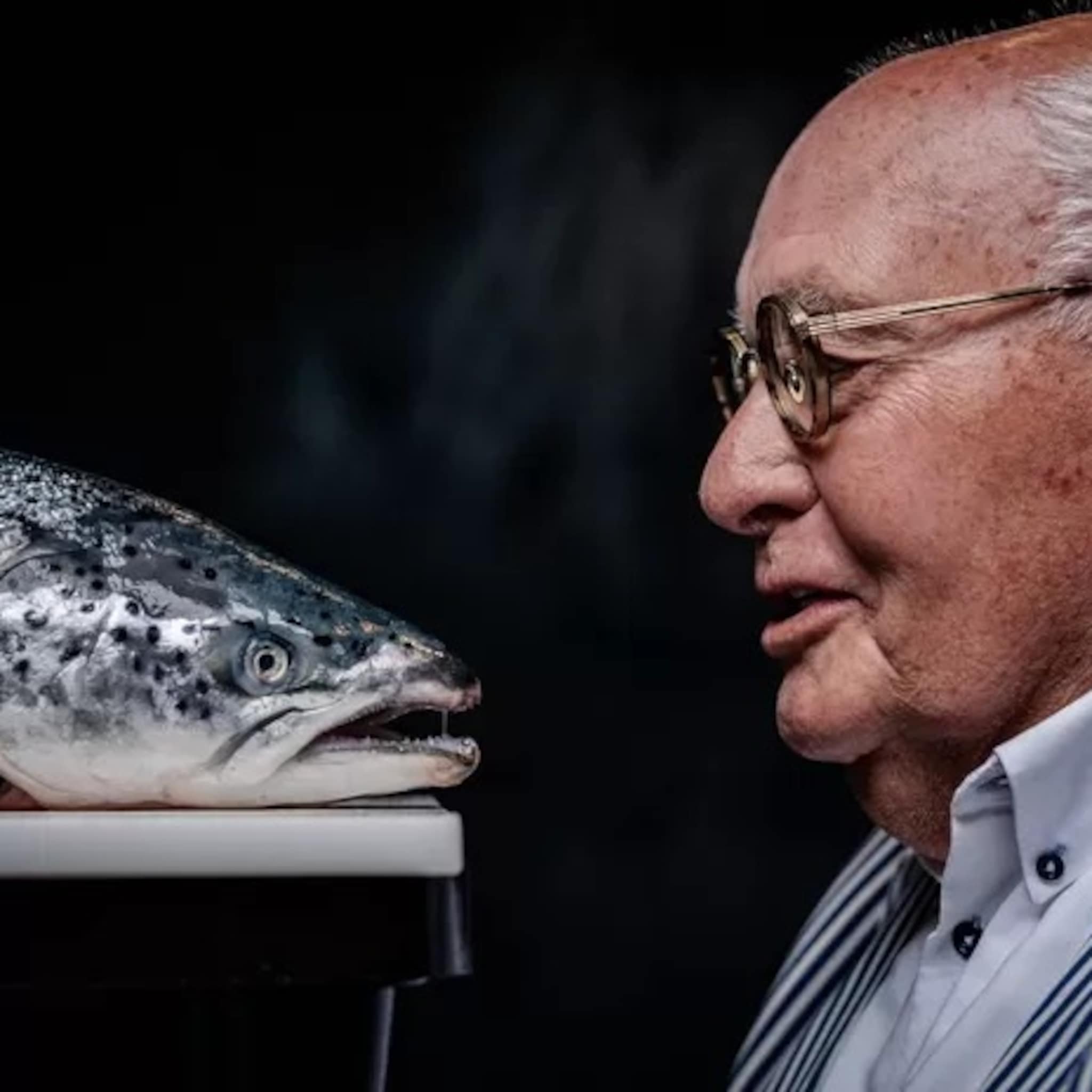 viskoning hans schmidt 87 overleden hij maakte van een viswinkeltje een wereldbedrijf