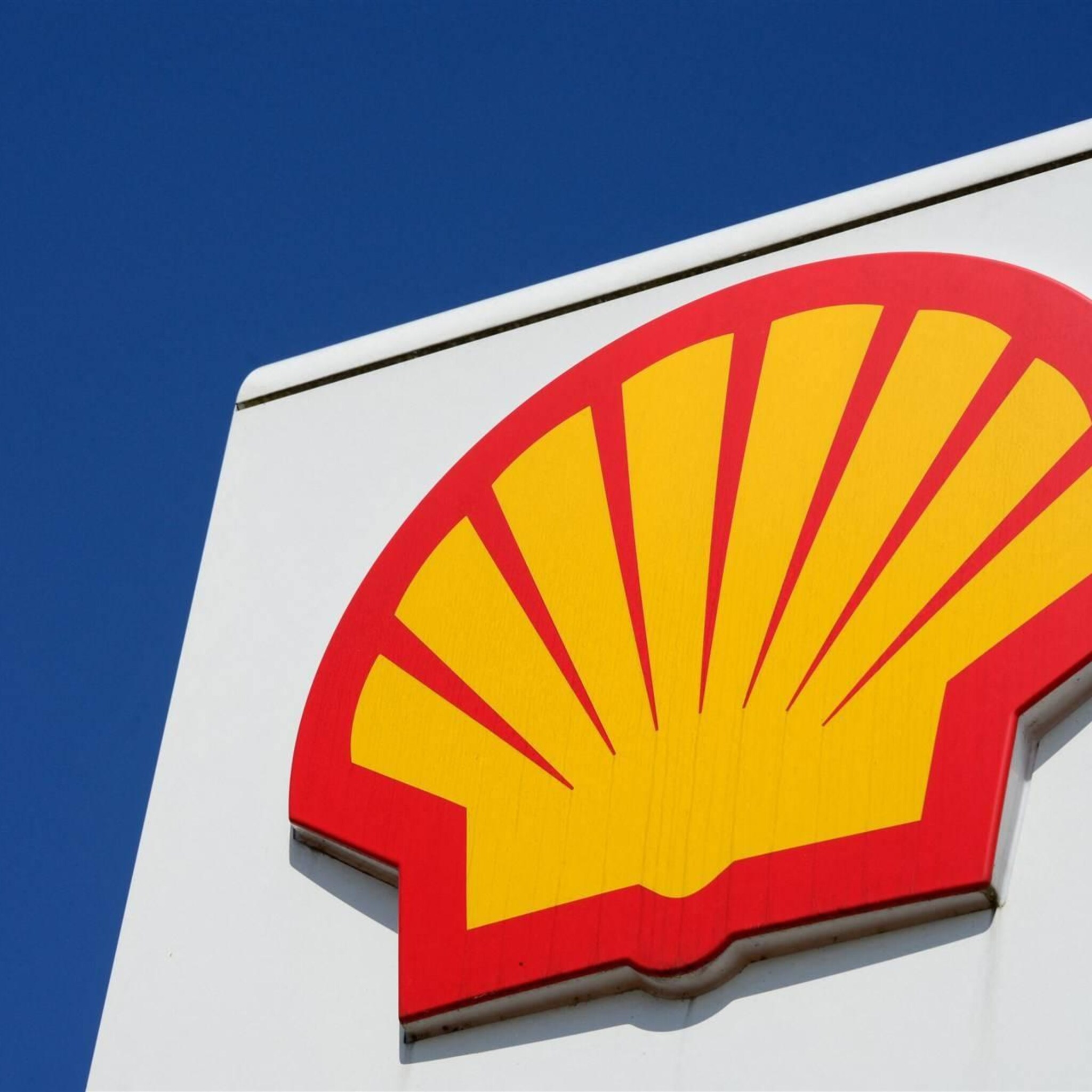 bloomberg shell praat met tenaz energy over verkoop nam