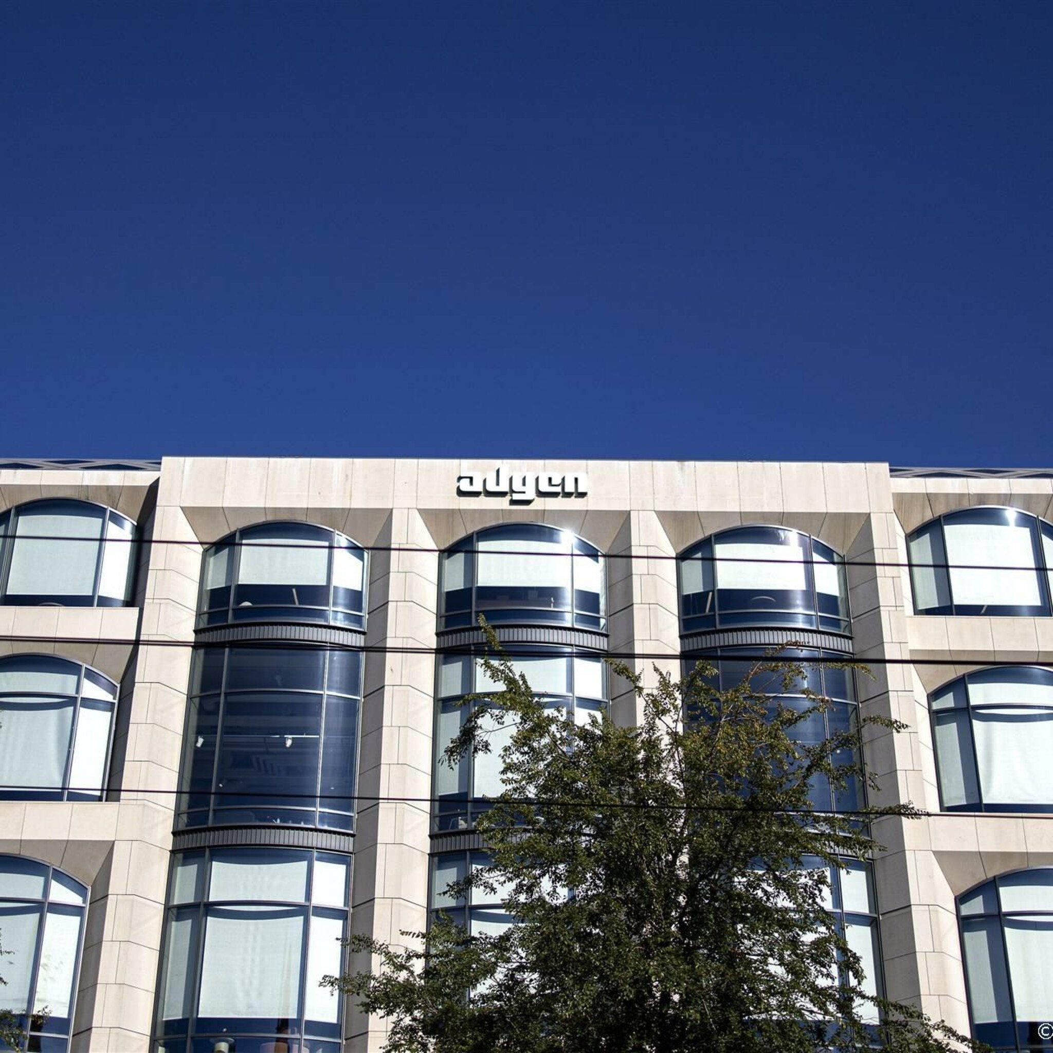 adyen en prosus onderaan in lagere aex vivoryon wint na cijfers