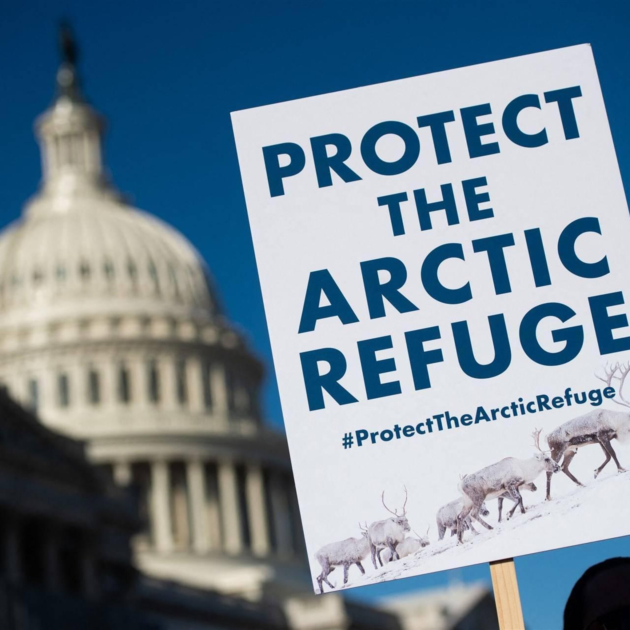 regering president biden trekt olieboorvergunningen alaska in