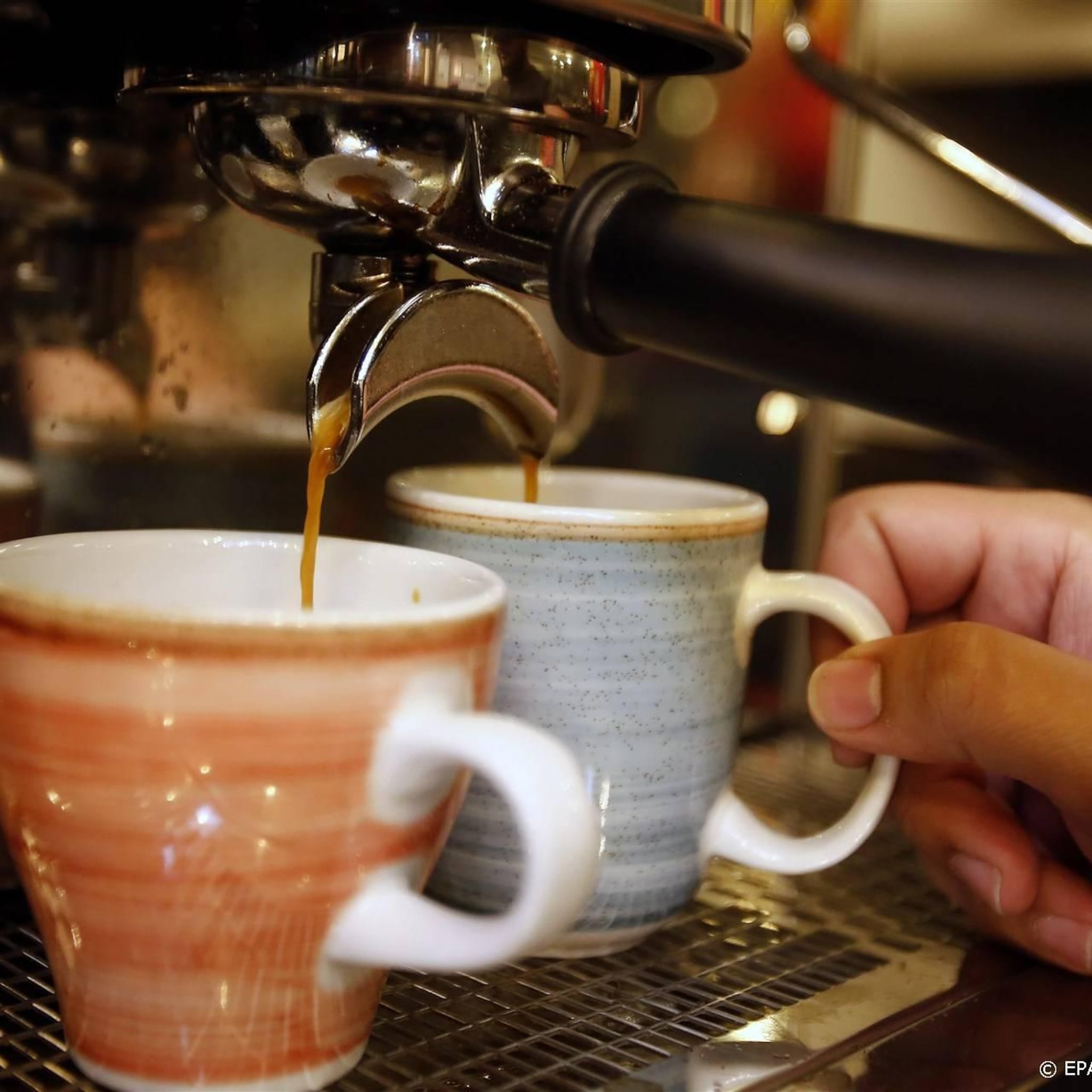 kop koffie in grote steden goedkoper vraag havermelk daalt