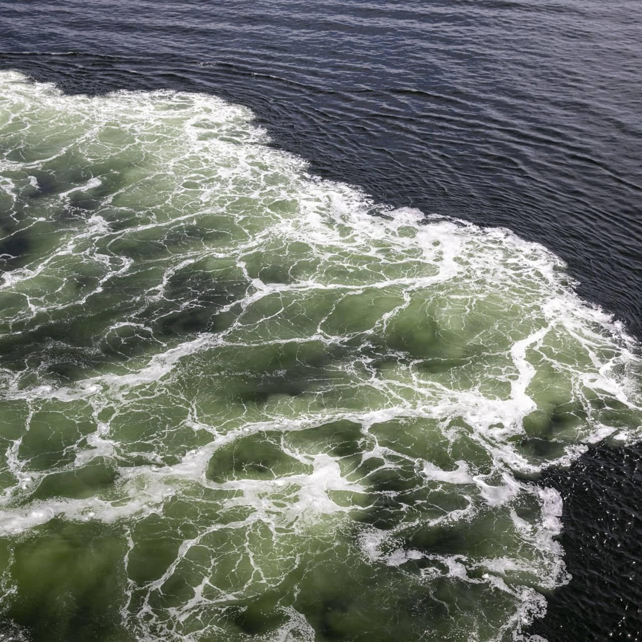 consumentenbond holland norway lines schendt passagiersrechten