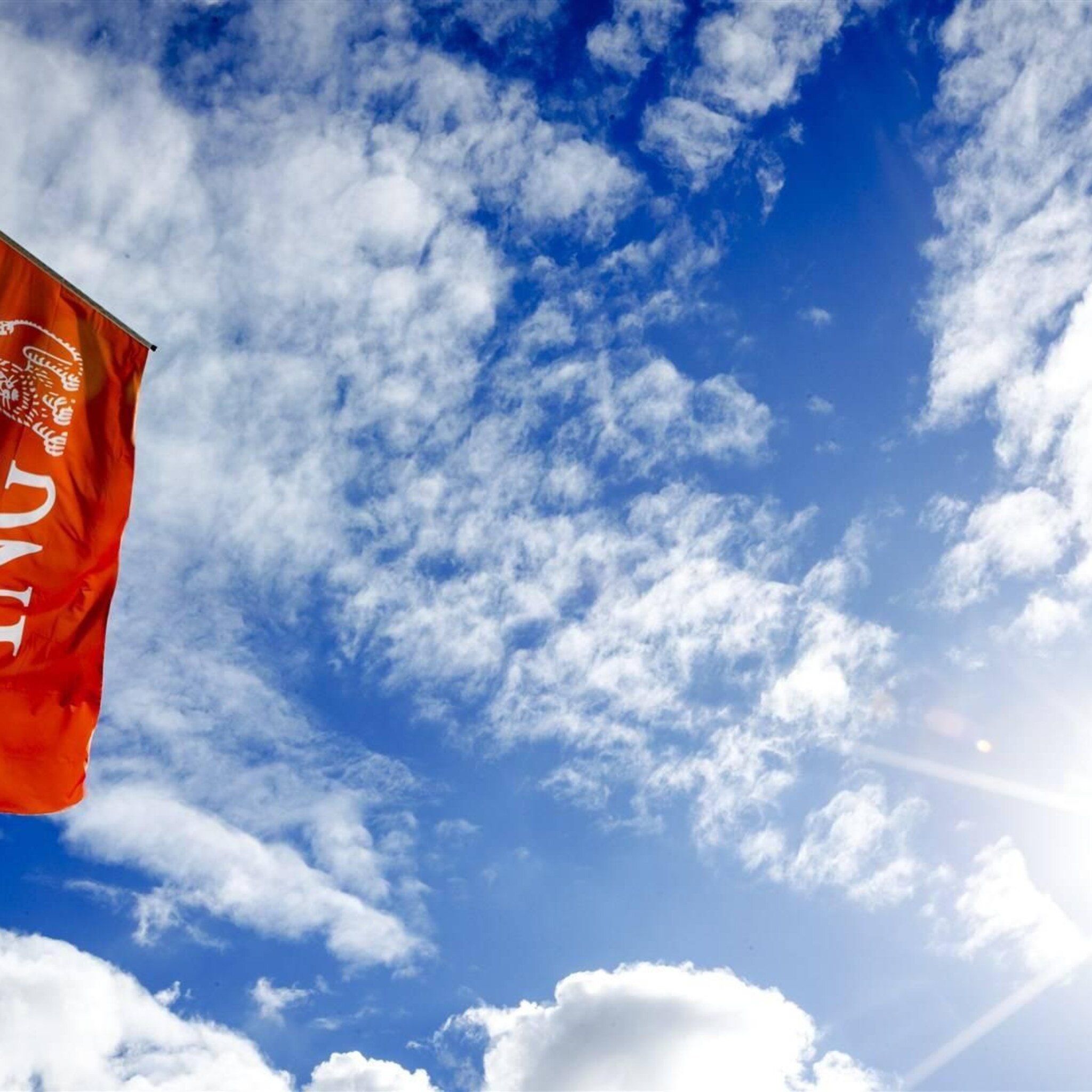 ing vertrouwen particuliere belegger op hoogste niveau in 2023