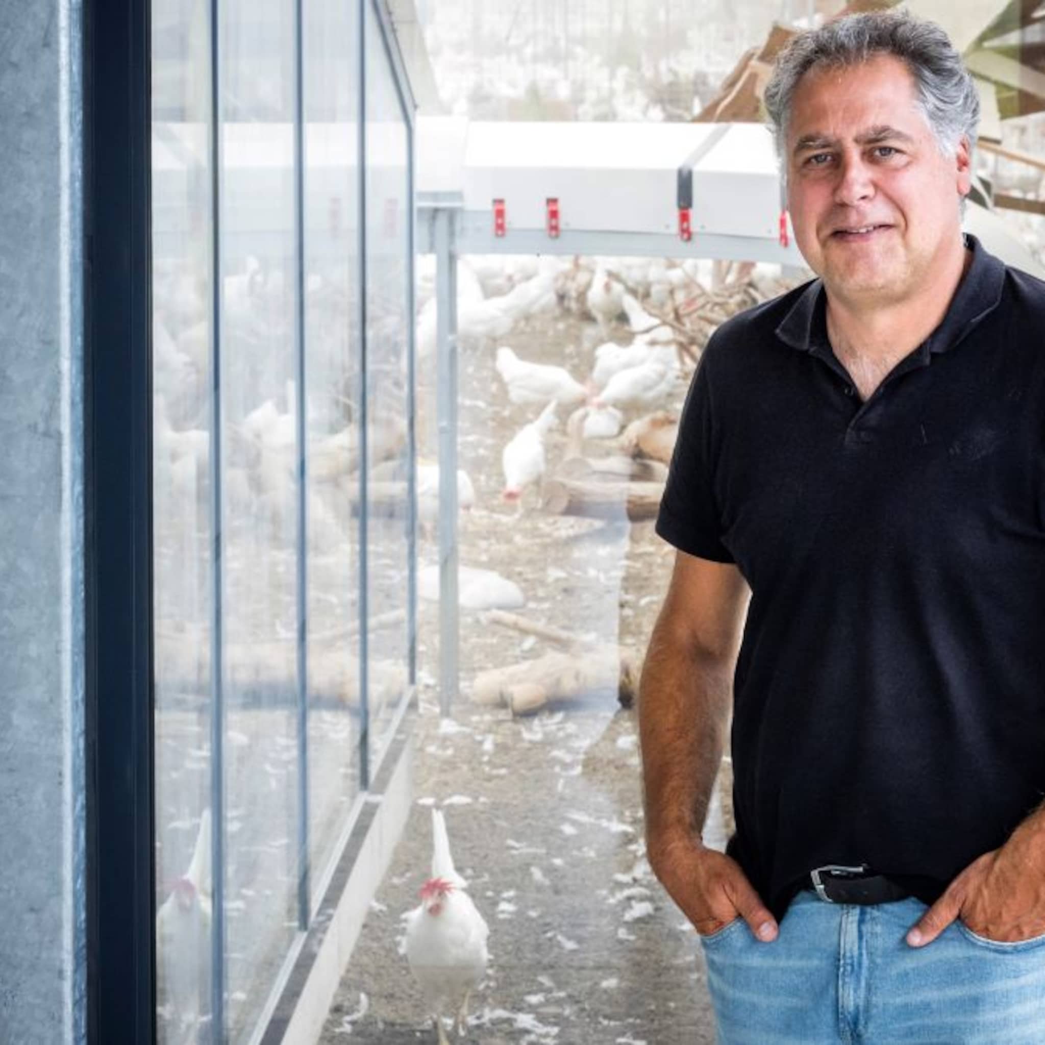 kiplekker succes dankzij klimaatneutraal ei dit is kipster