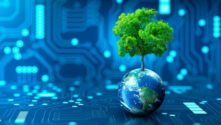 Beeld: Shutterstock Shutterstock