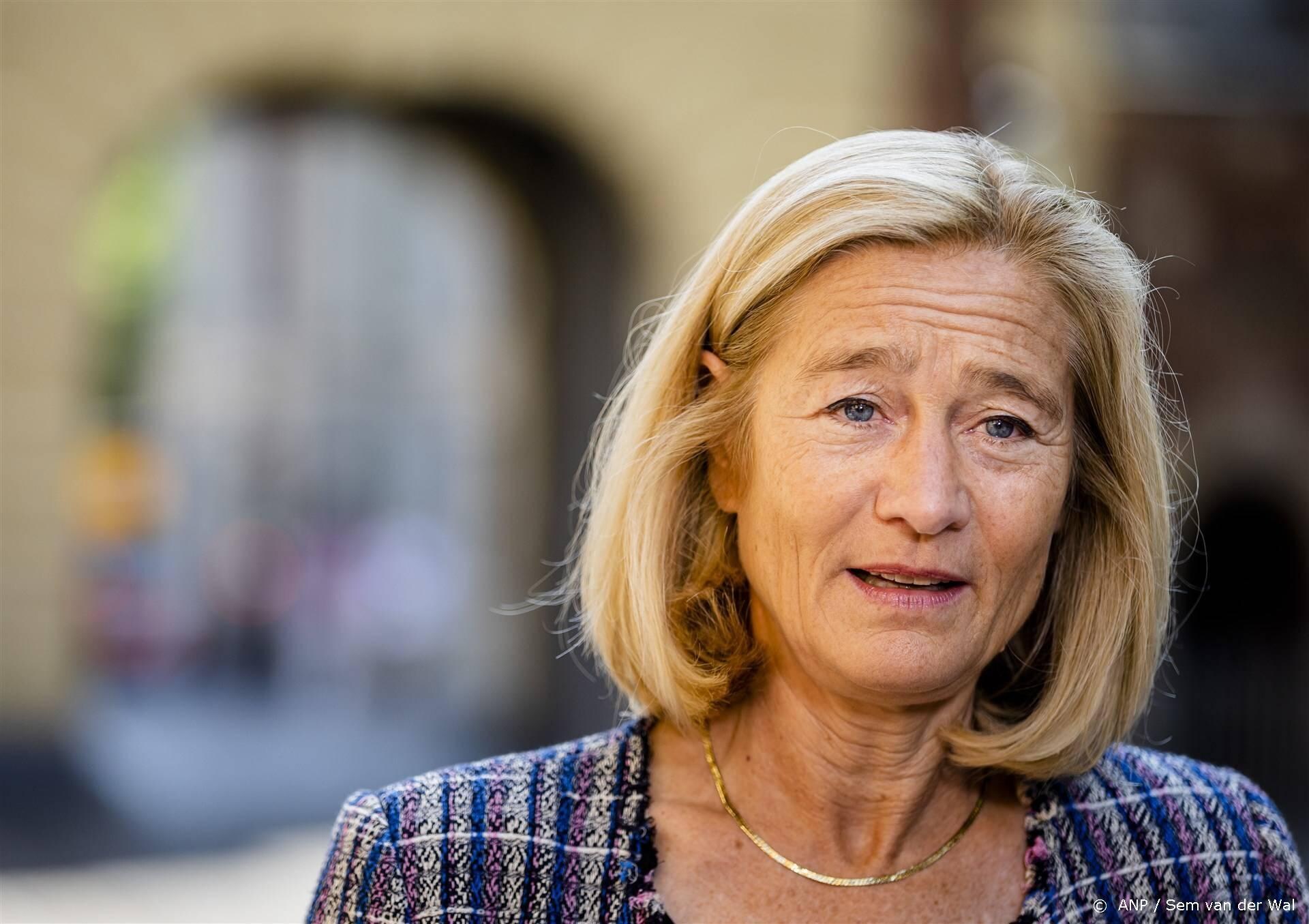 beeld deondernemer