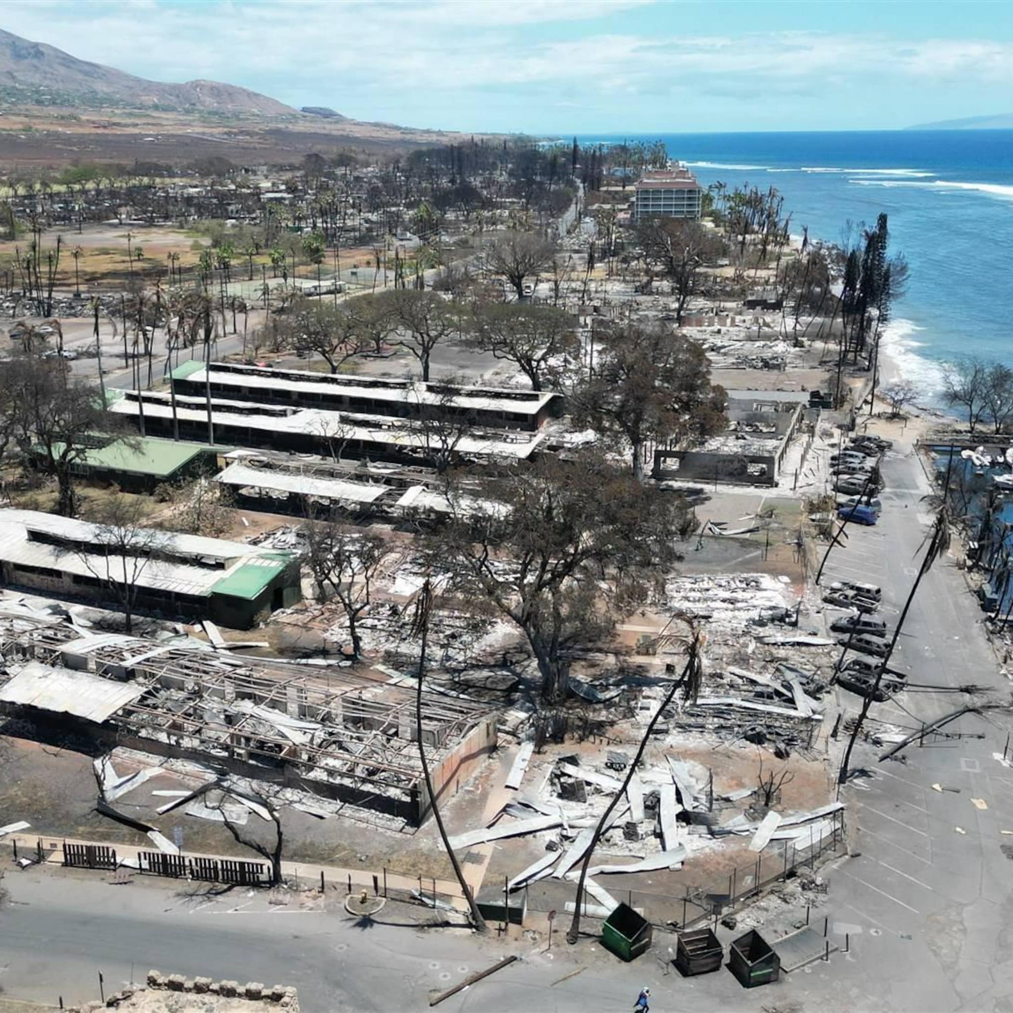 jeff bezos wil 100 miljoen geven aan hawai na bosbranden