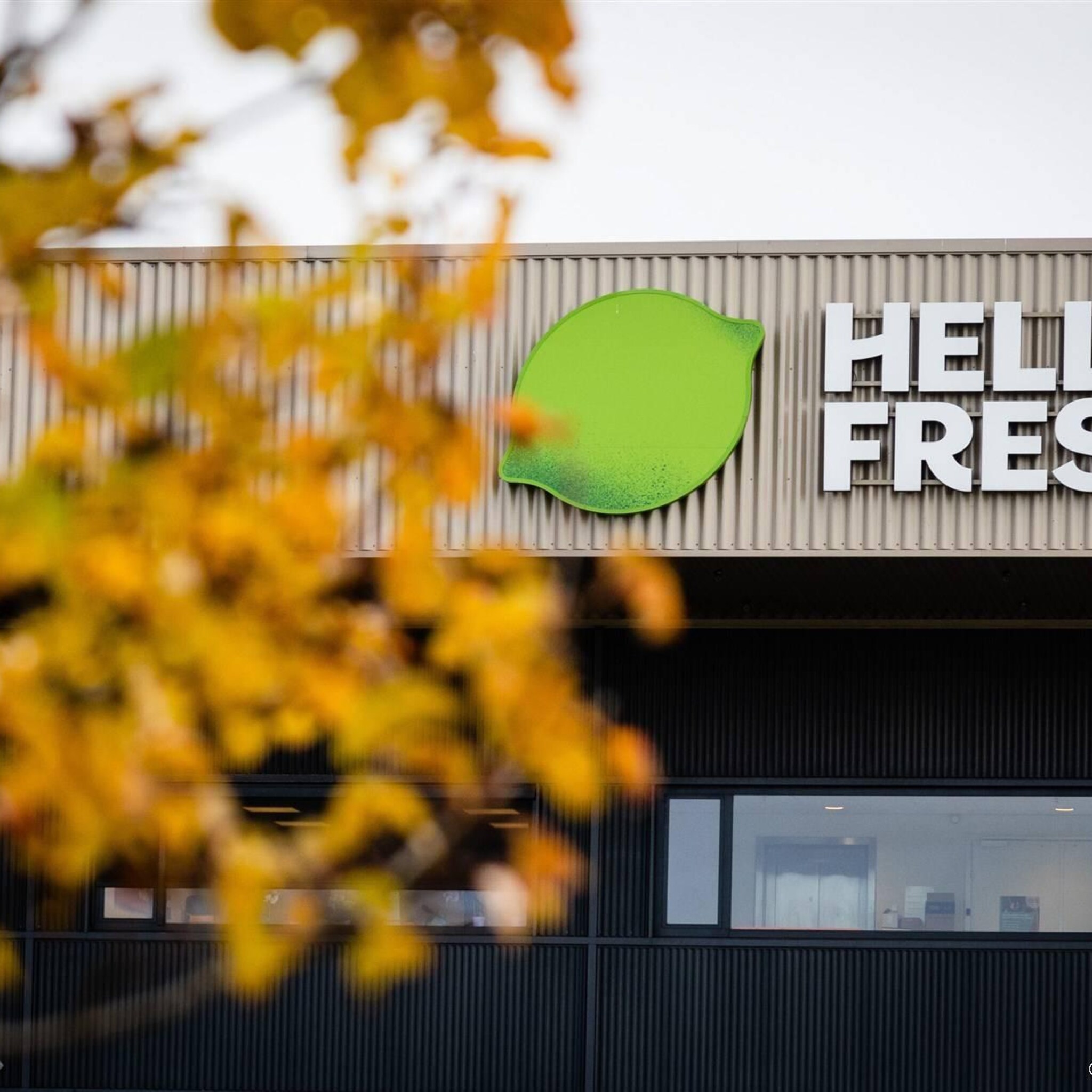 hellofresh ziet aantal klanten en bestellingen dalen