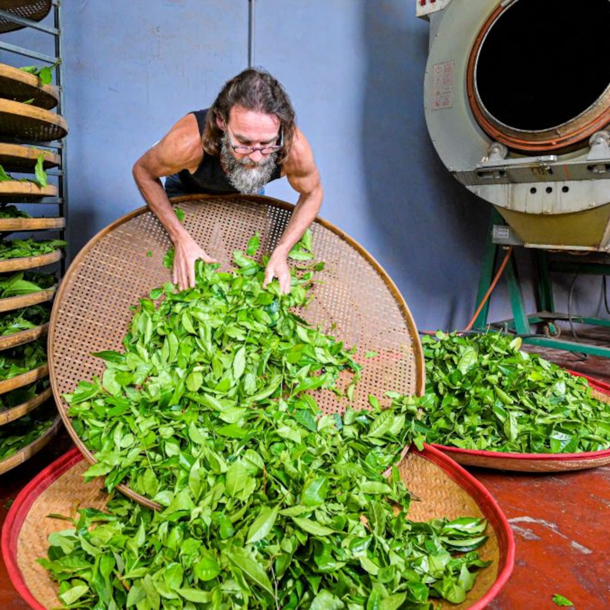 local tea maakt exotische verrassing uit onze achtertuin
