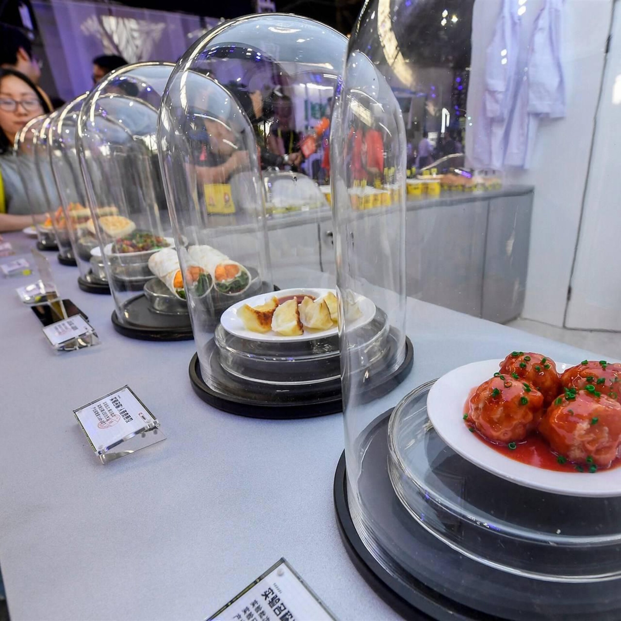 overheidsfonds investeert miljoenen in meatable voor kweekvlees