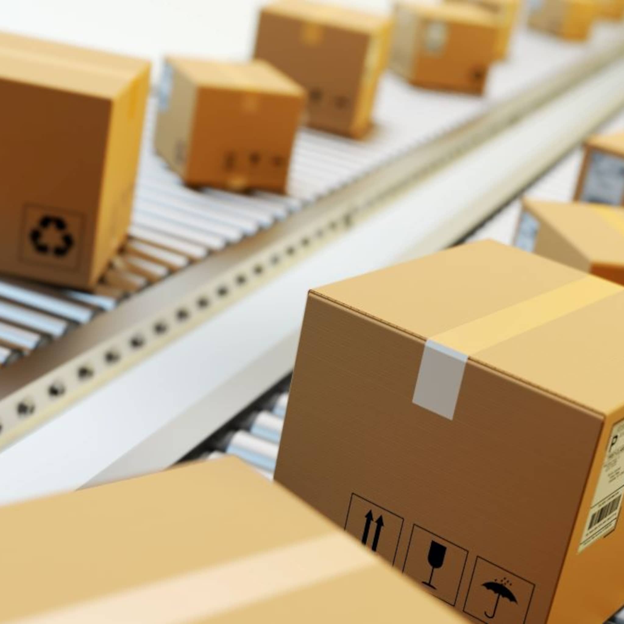 zo willen wuunder en paazl europa veroveren als de duurzaamste logistieke dienstverlener