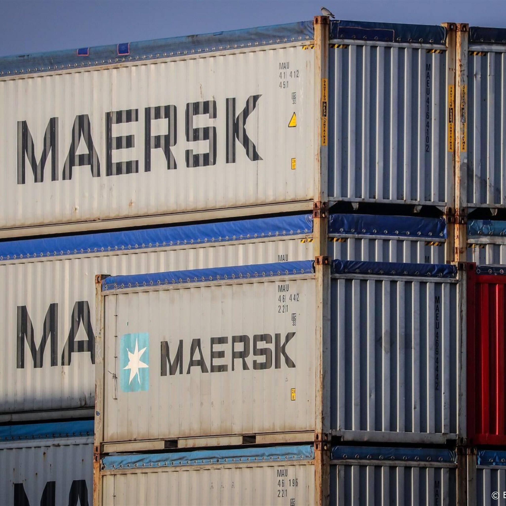 rederij maersk ziet sterkere krimp containervervoer