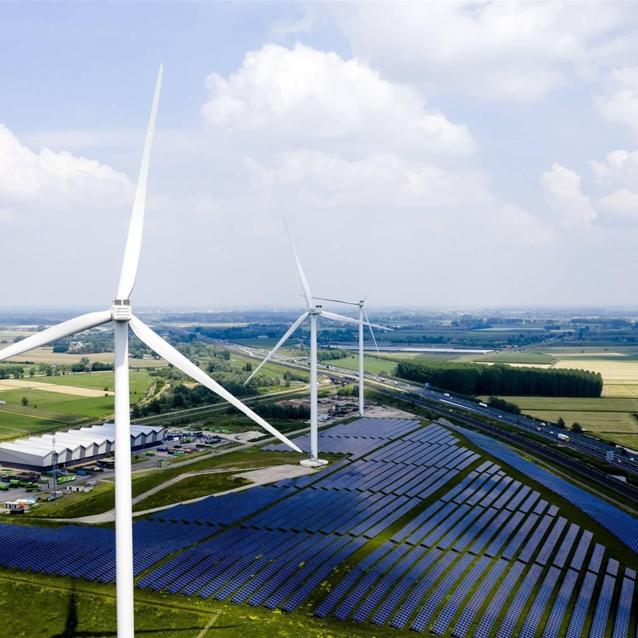 pricewise meer consumenten willen nederlandse groene stroom