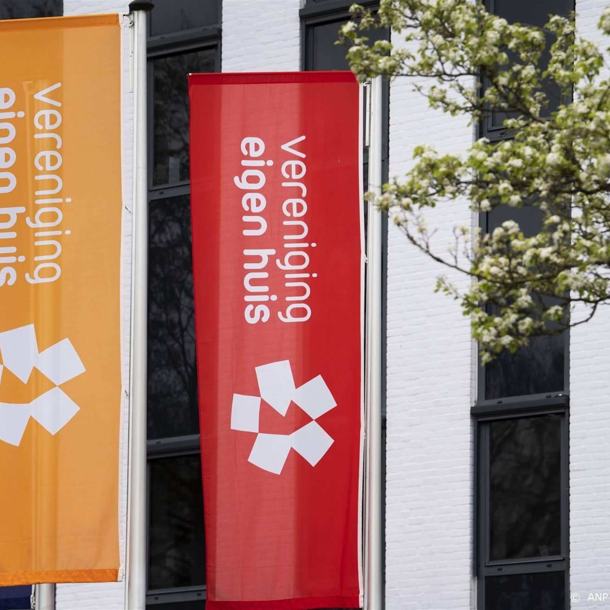 veh vertraging en duizenden euro s extra door vleermuisonderzoek