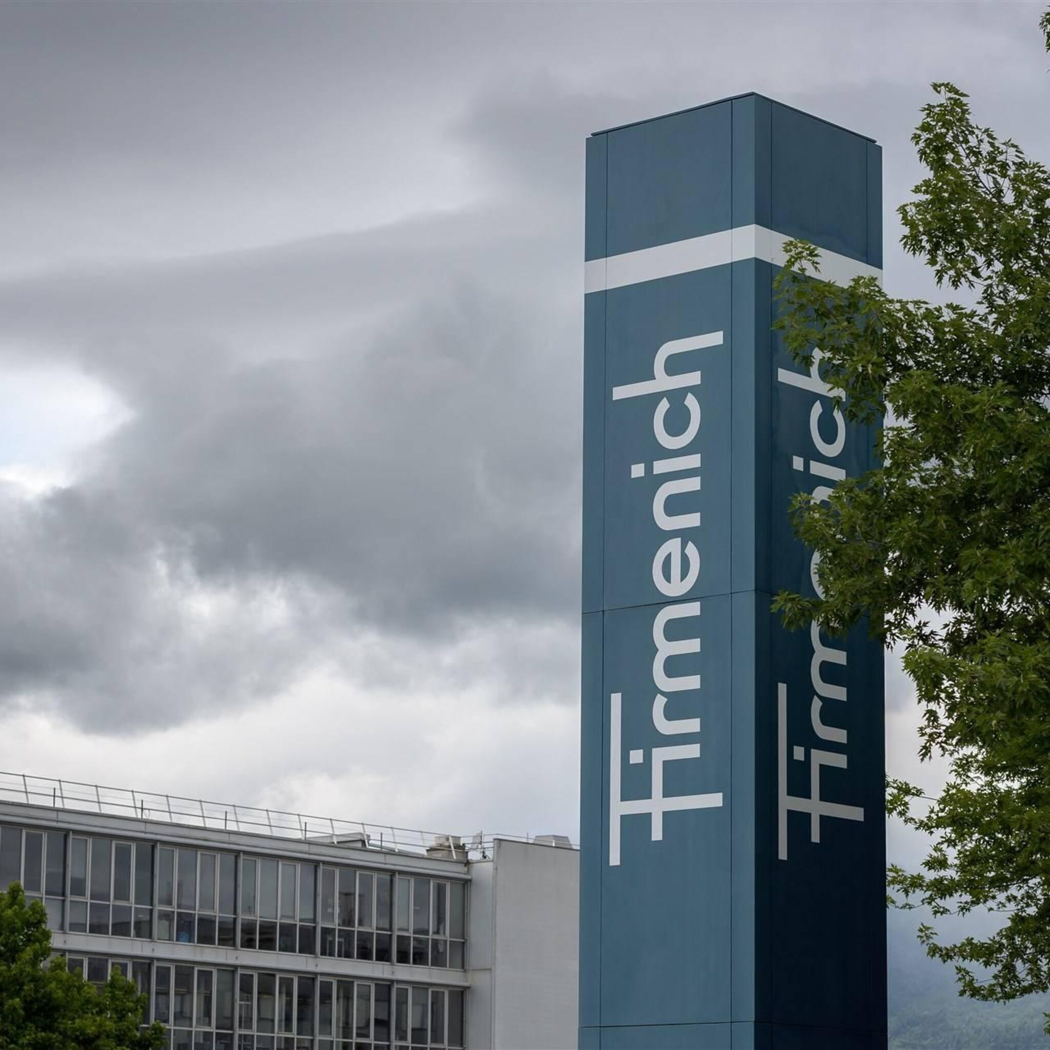 dsm firmenich merkt langzaam herstel vitaminemarkt china