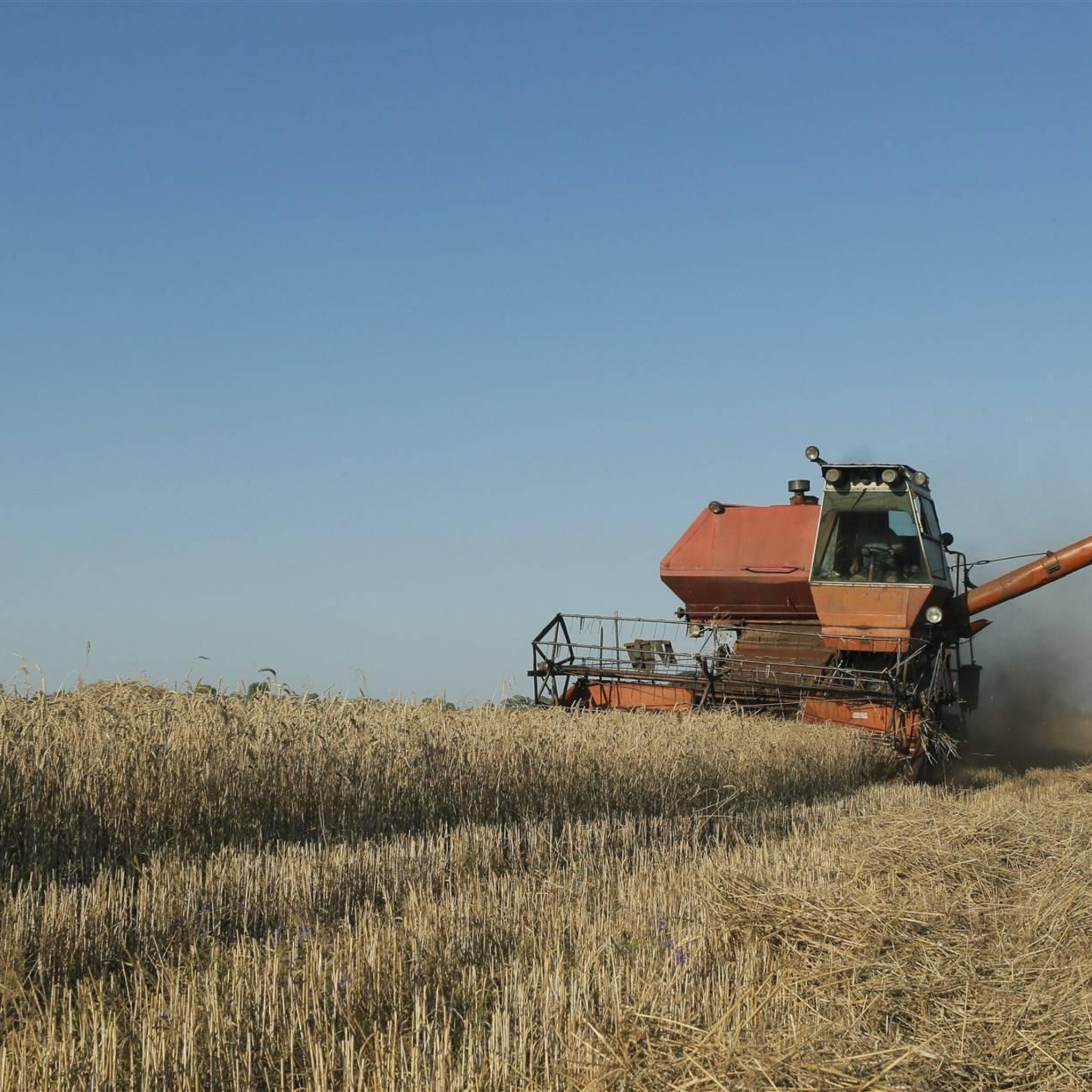 graanprijs verder omhoog na nieuwe russische aanvallen