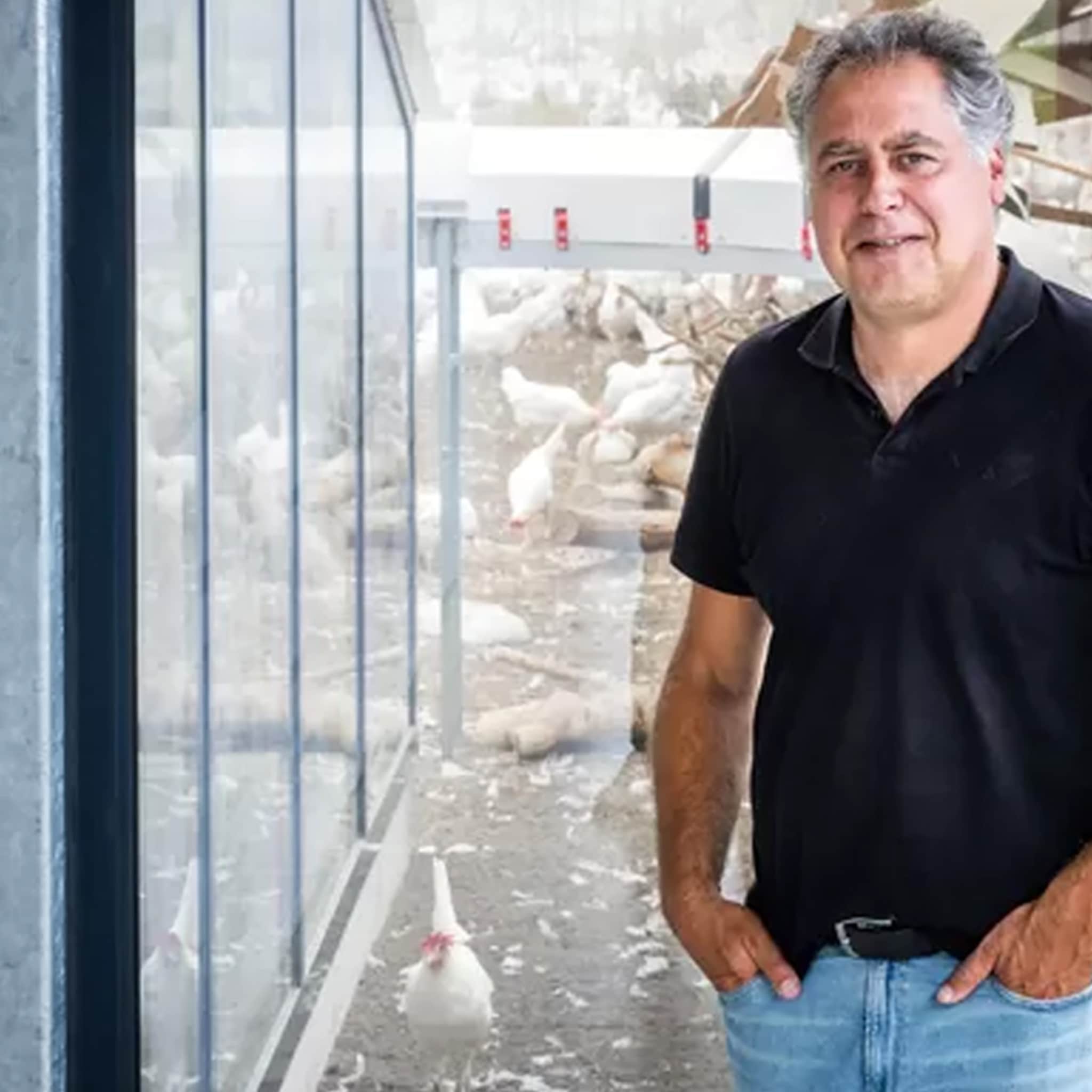 deze vondst brengt ruud wereldwijde groei kippen van kipster krijgen alleen nog afgedankte etensresten