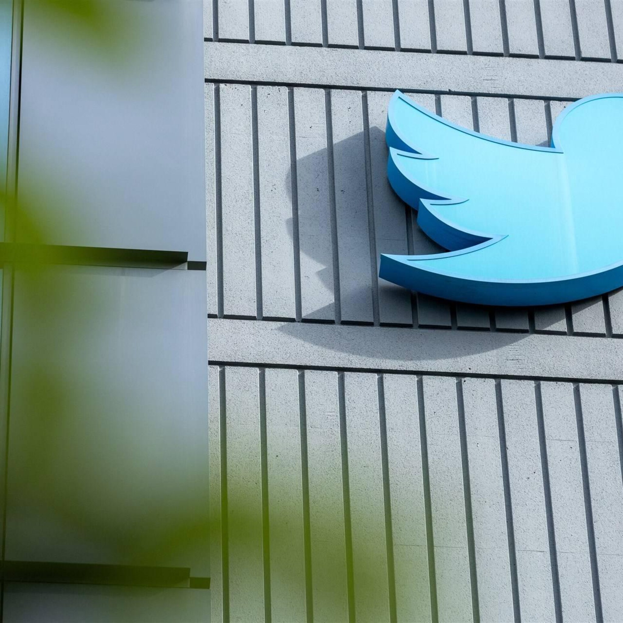 vogeltje twitter maakt plaats voor x op website