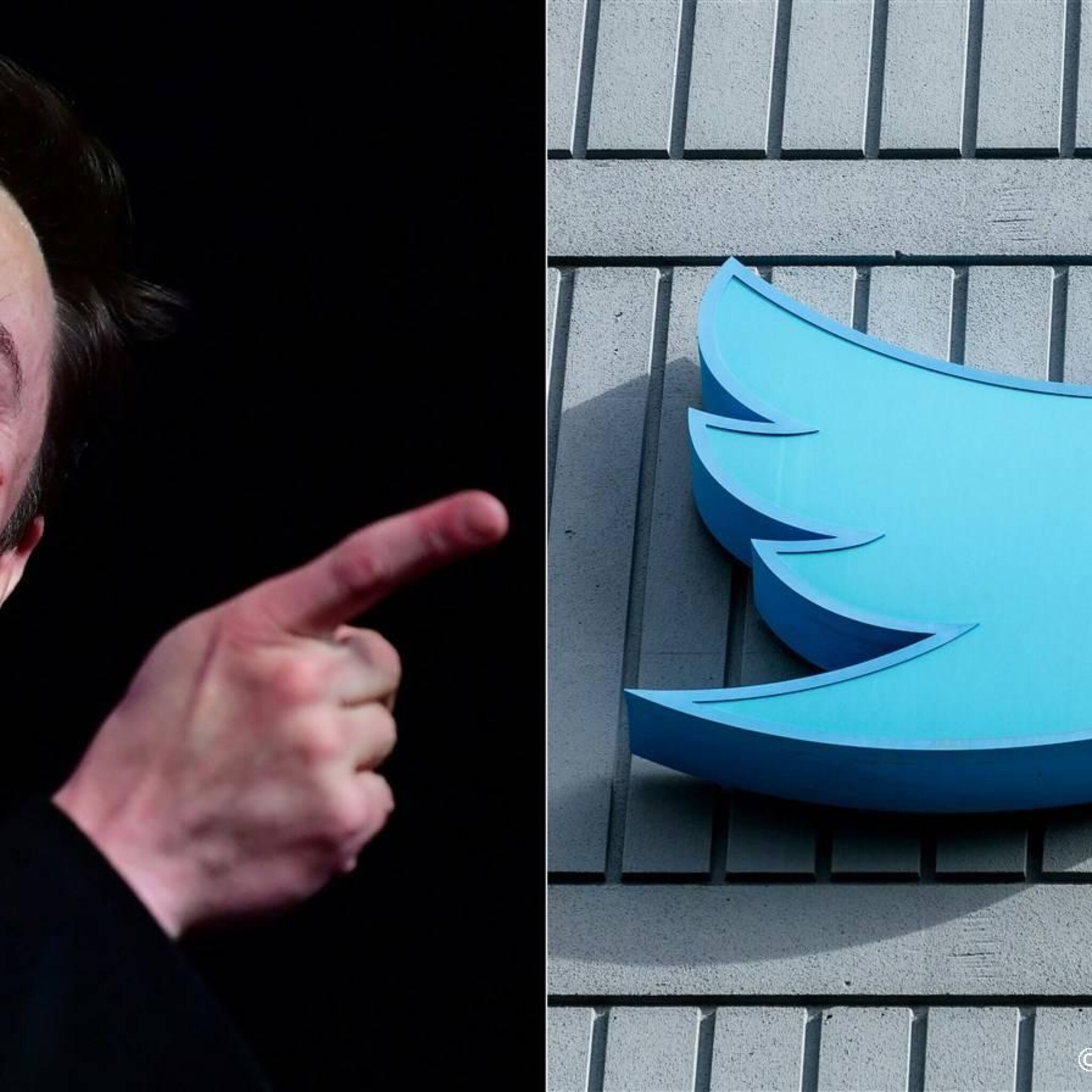 elon musk zinspeelt op veranderen logo twitter
