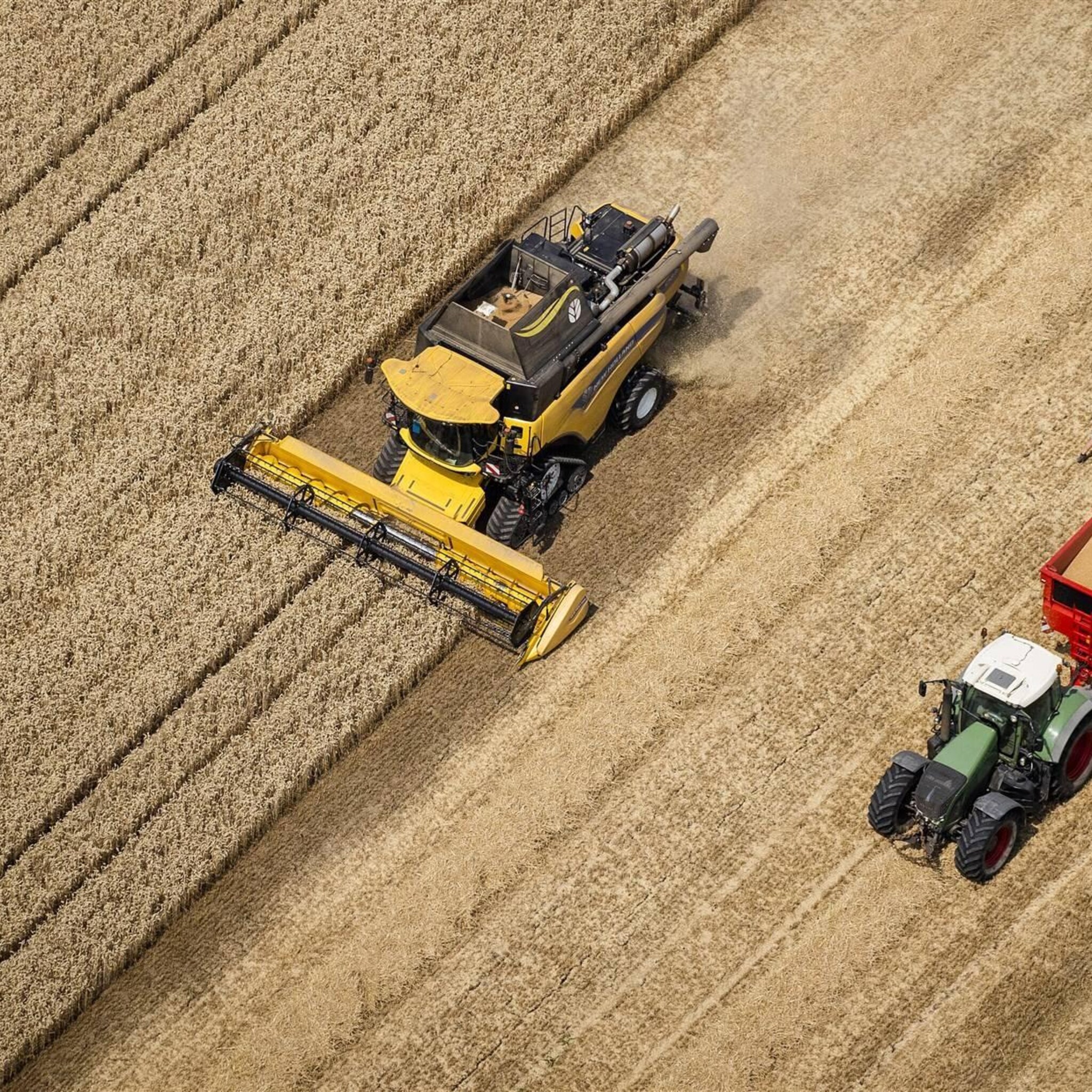 graan duurder na dreigende taal rusland over scheepvaart oekraine