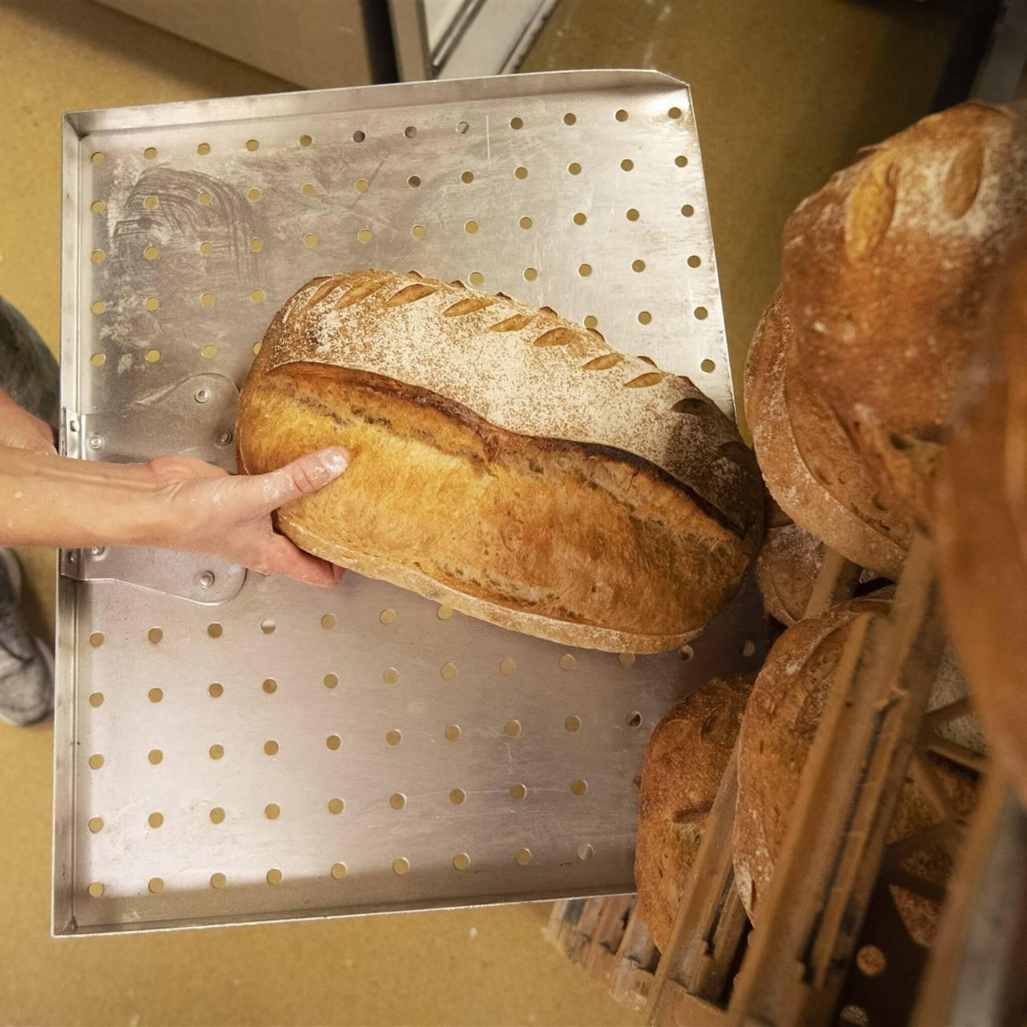 bakkers brood niet duurder na vervallen graandeal