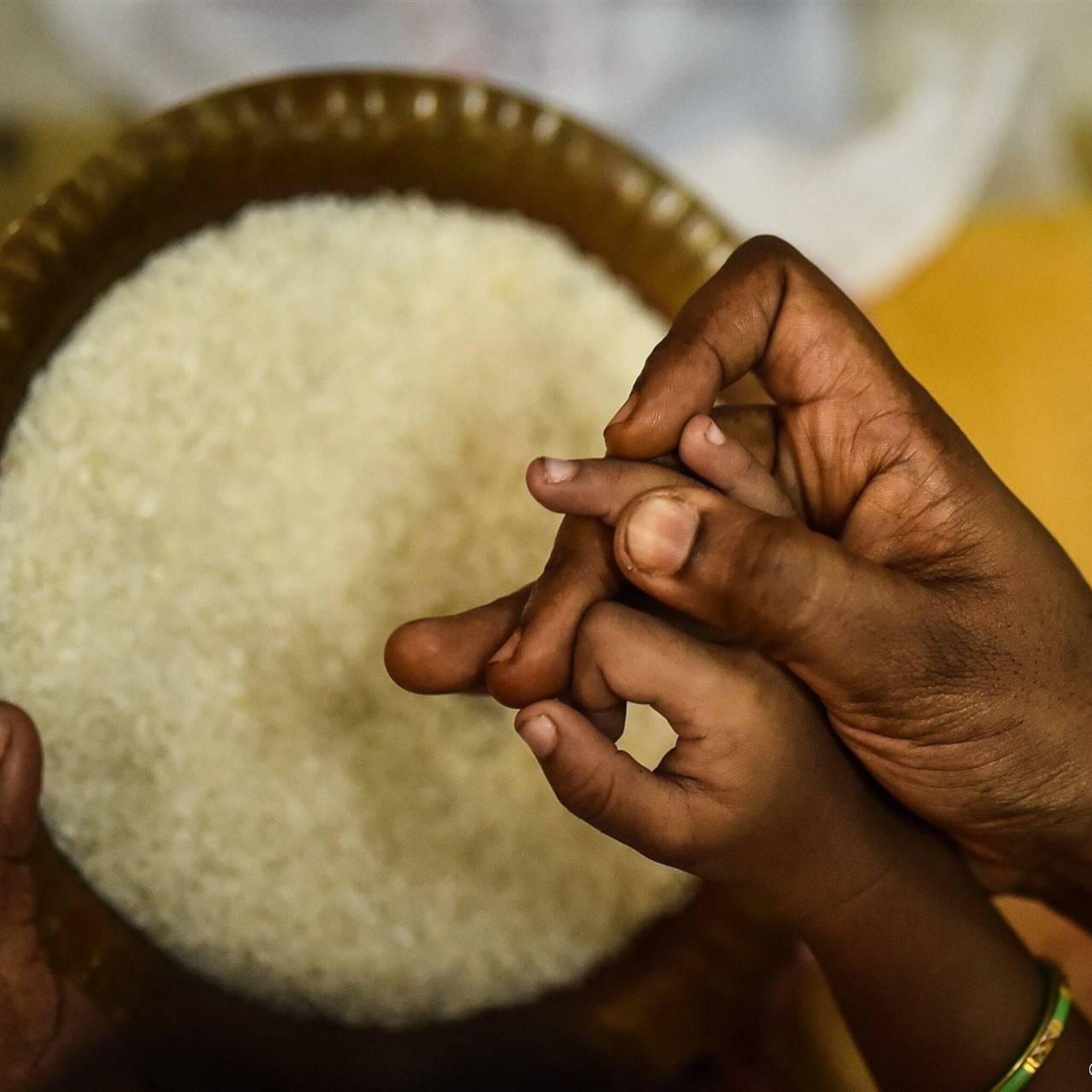 bronnen india overweegt exportstop op meeste rijstsoorten