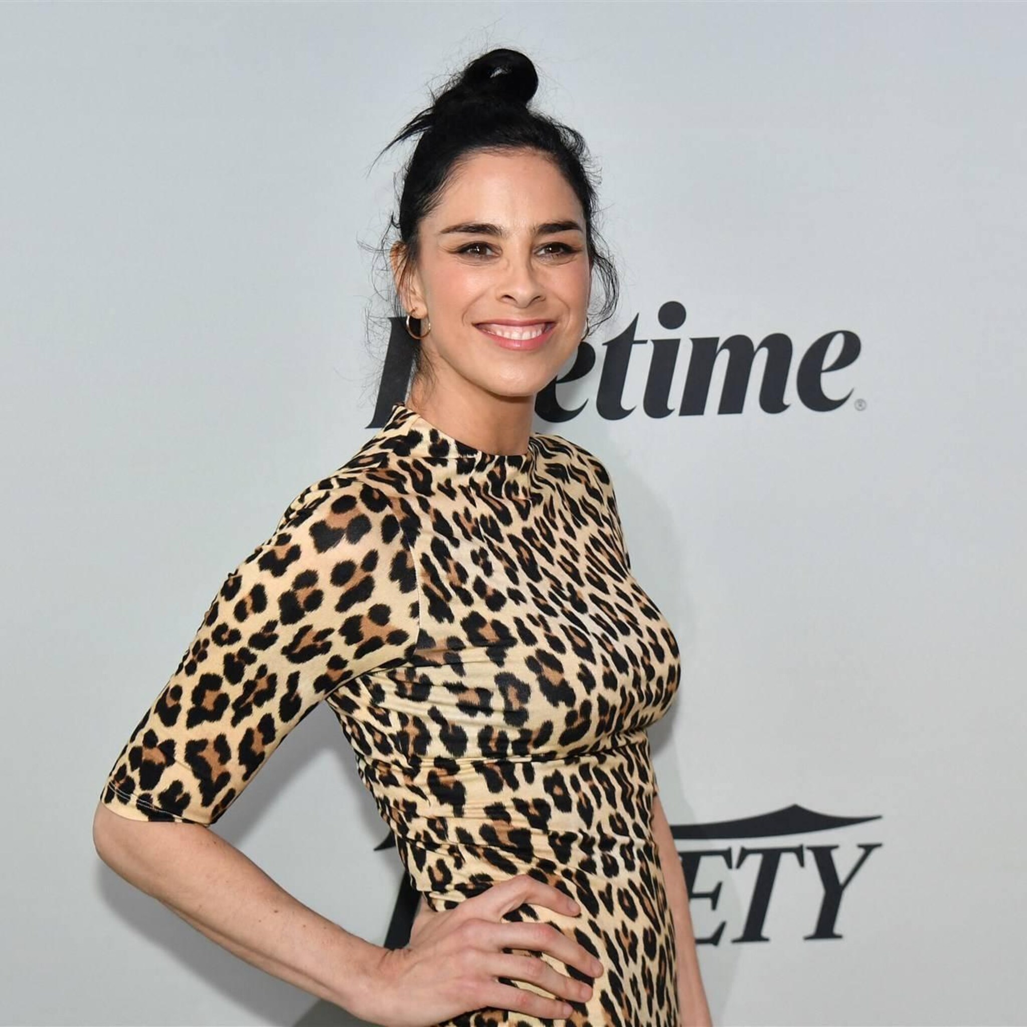 sarah silverman klaagt openai en moederbedrijf facebook aan