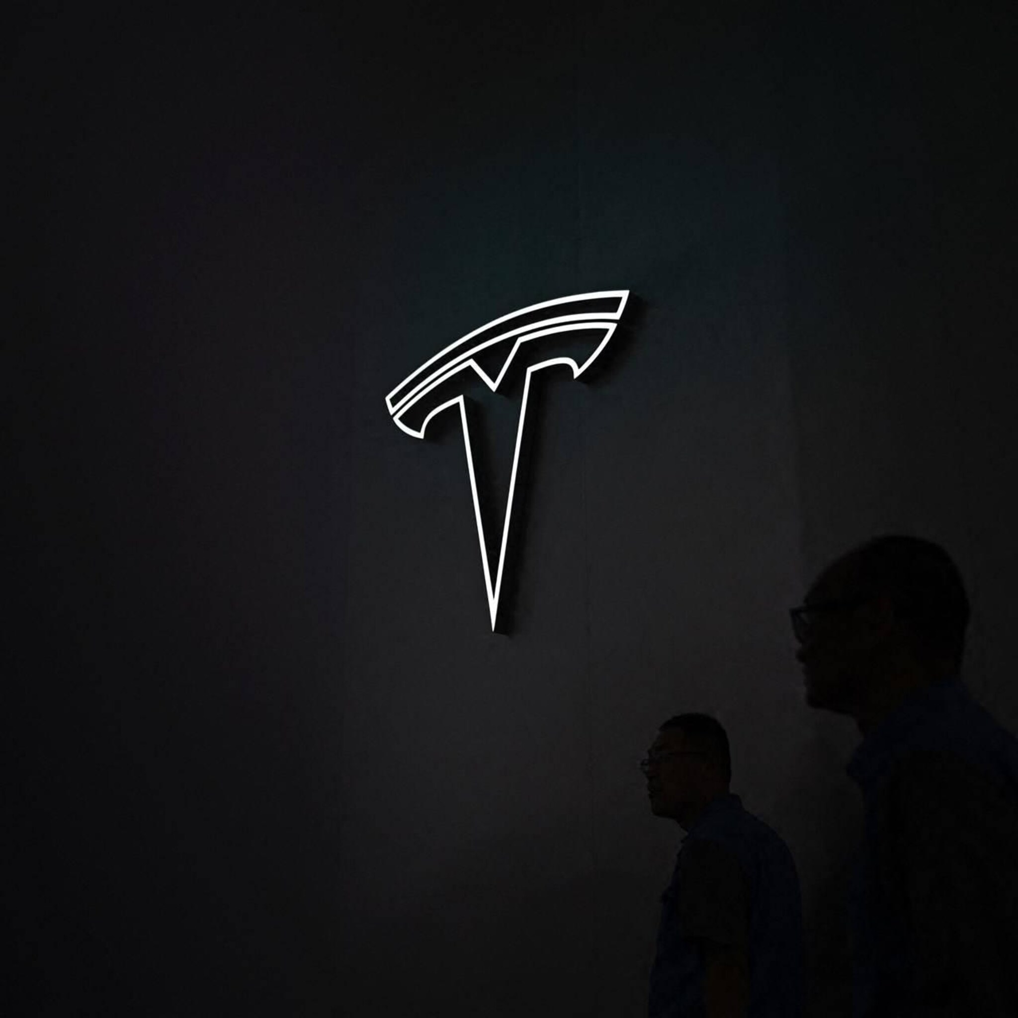 frankrijk hoopvol over investering tesla