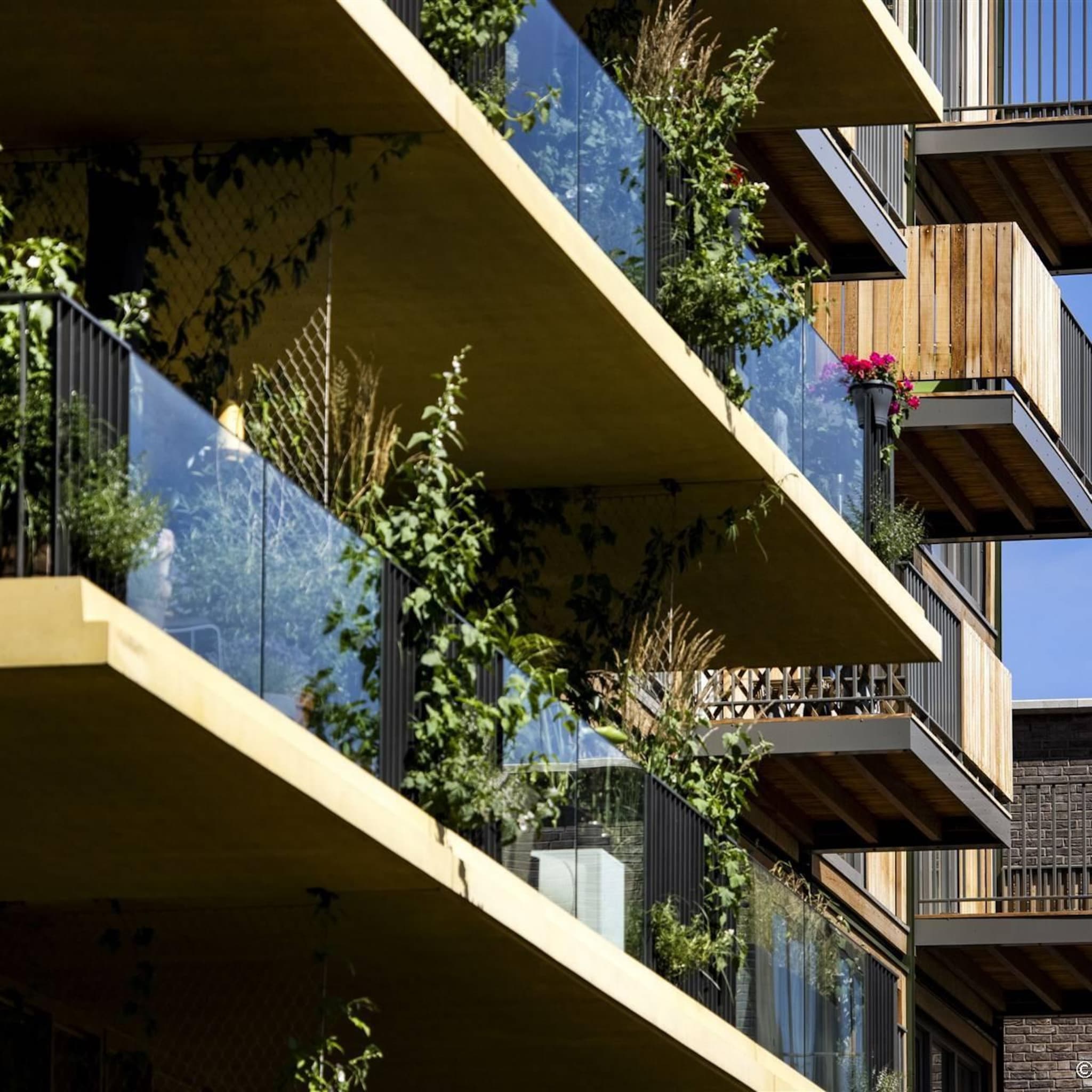 makelaars komen met update over huizenprijzen en woningverkopen